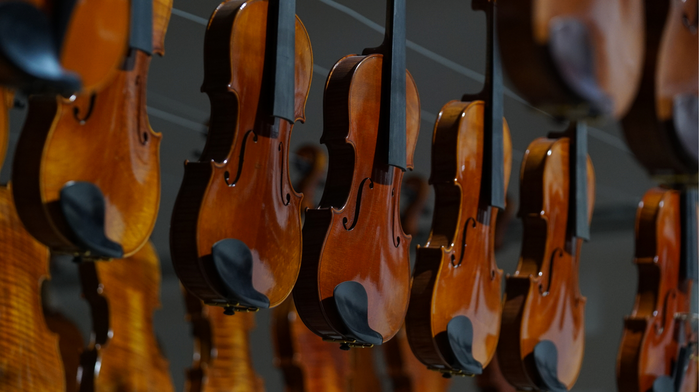 一组小提琴的照片