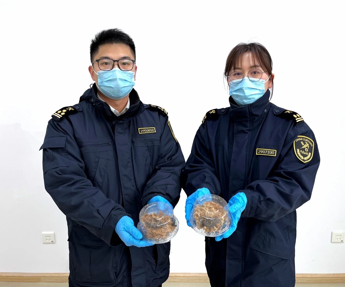 钱江海关查获19只活体有毒蝾螈!