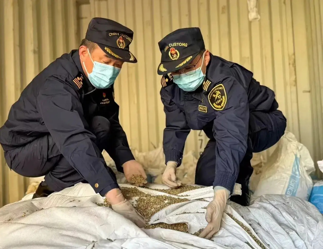 福州马尾海关,作为守护国门的重要关卡,工作人员每天都在和海量