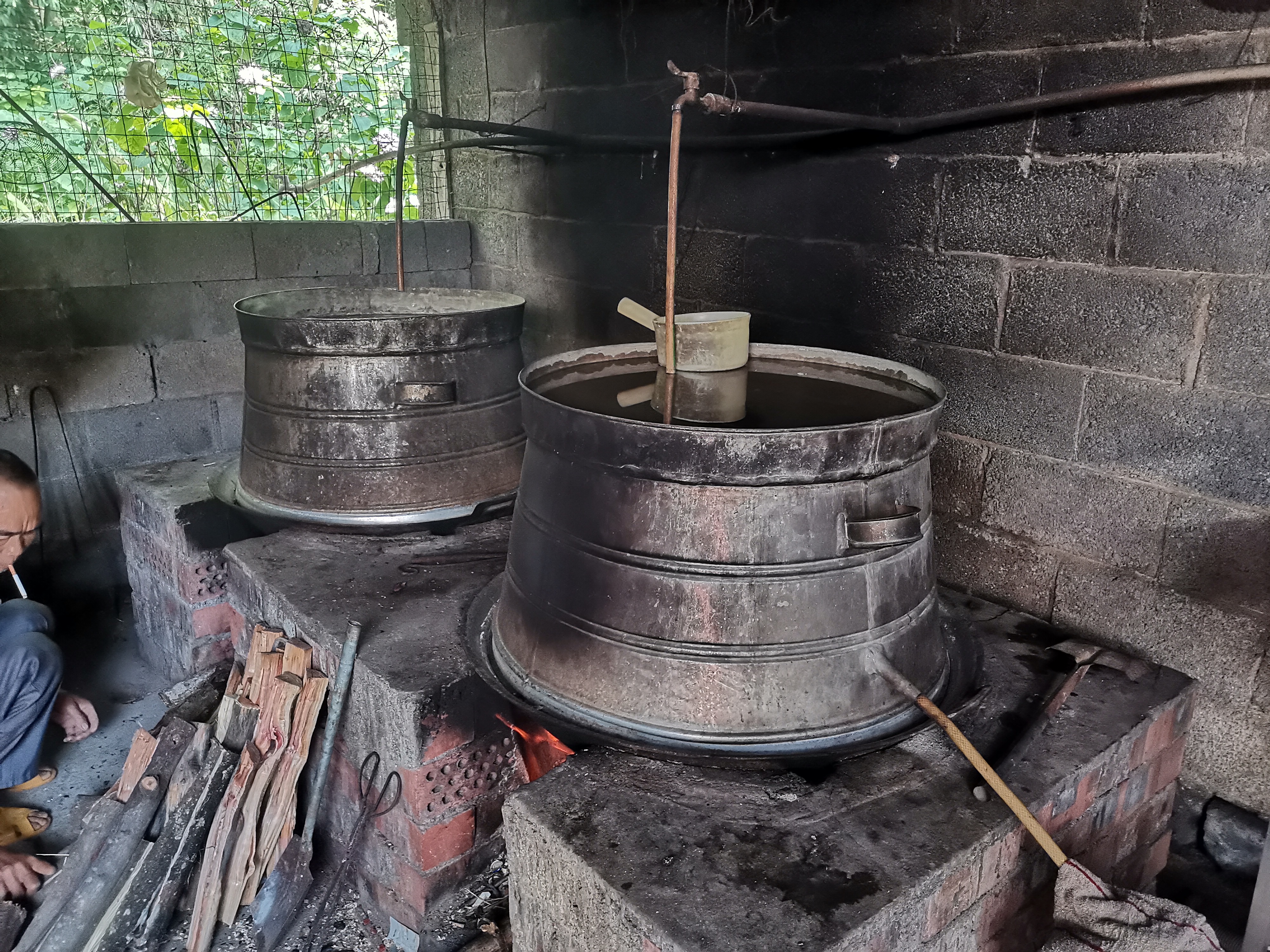 今天酿酒了,我用自己做的酒曲蒸了一锅双粮酒,又发酵了一锅南瓜酒