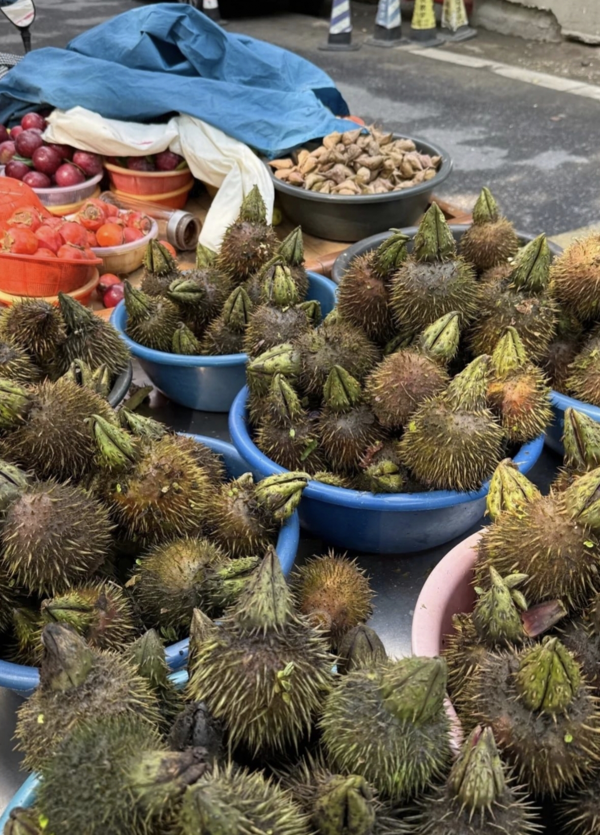 街头集市上鸡头果带着粗粝的刺壳登场浑身尖刺似小铠甲藏着水土