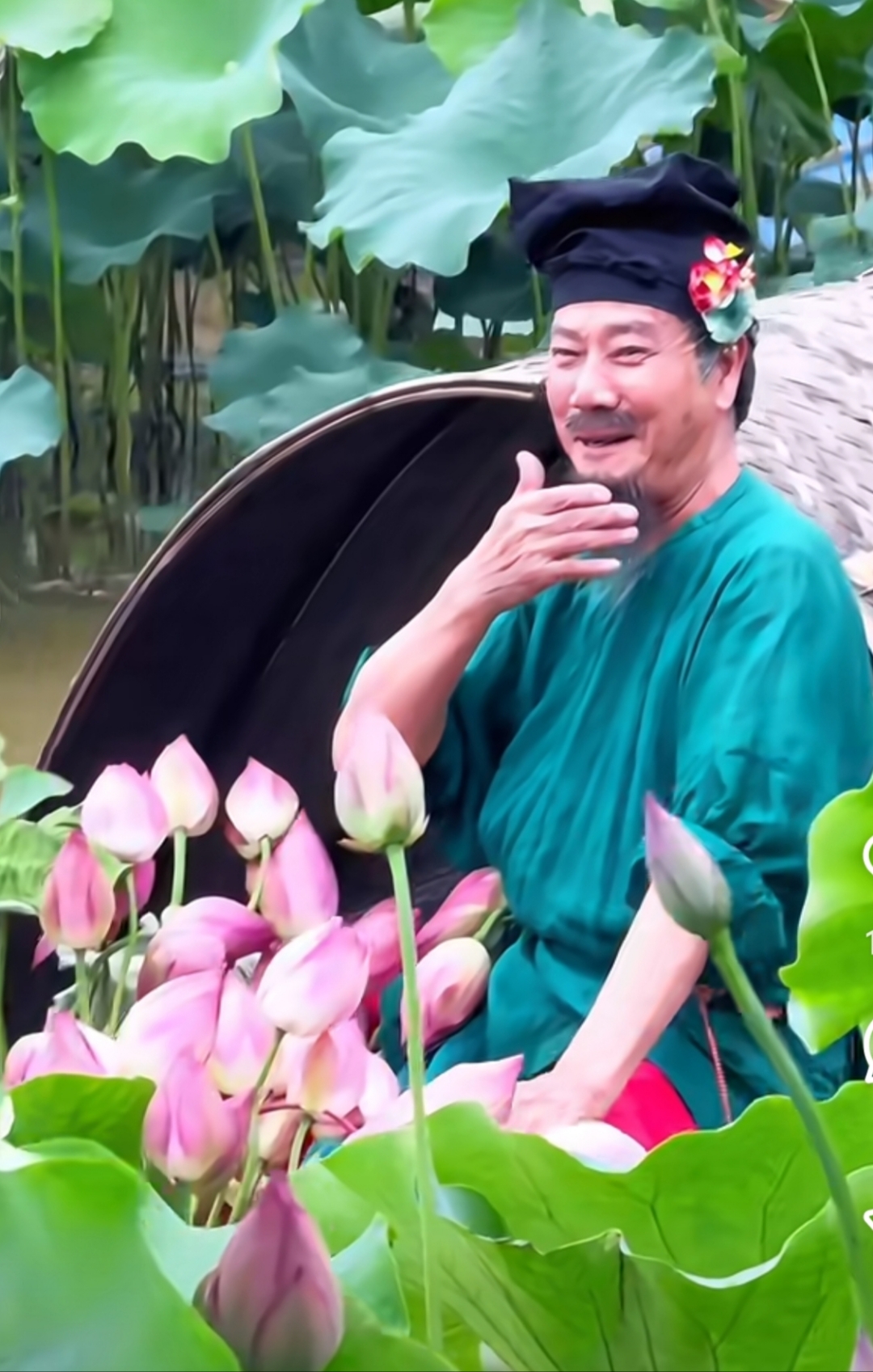 粉荷白莲摇曳其间,或含苞待放,或肆意盛放,散发着淡淡清香