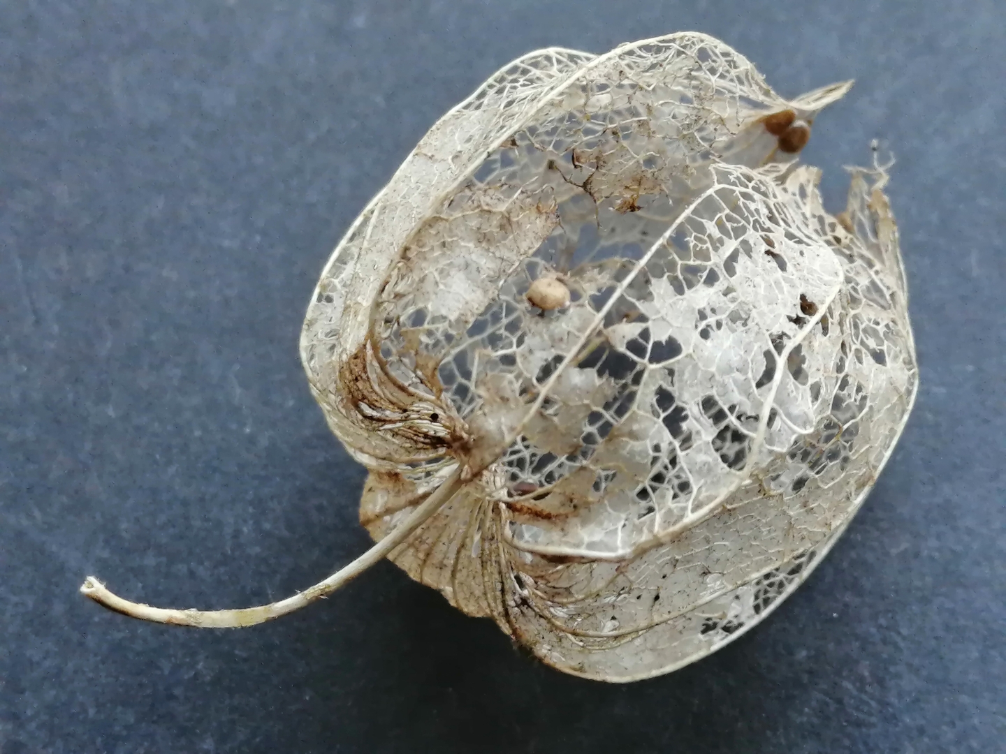 有风的地方,有着不一样的温度,不一样的气息