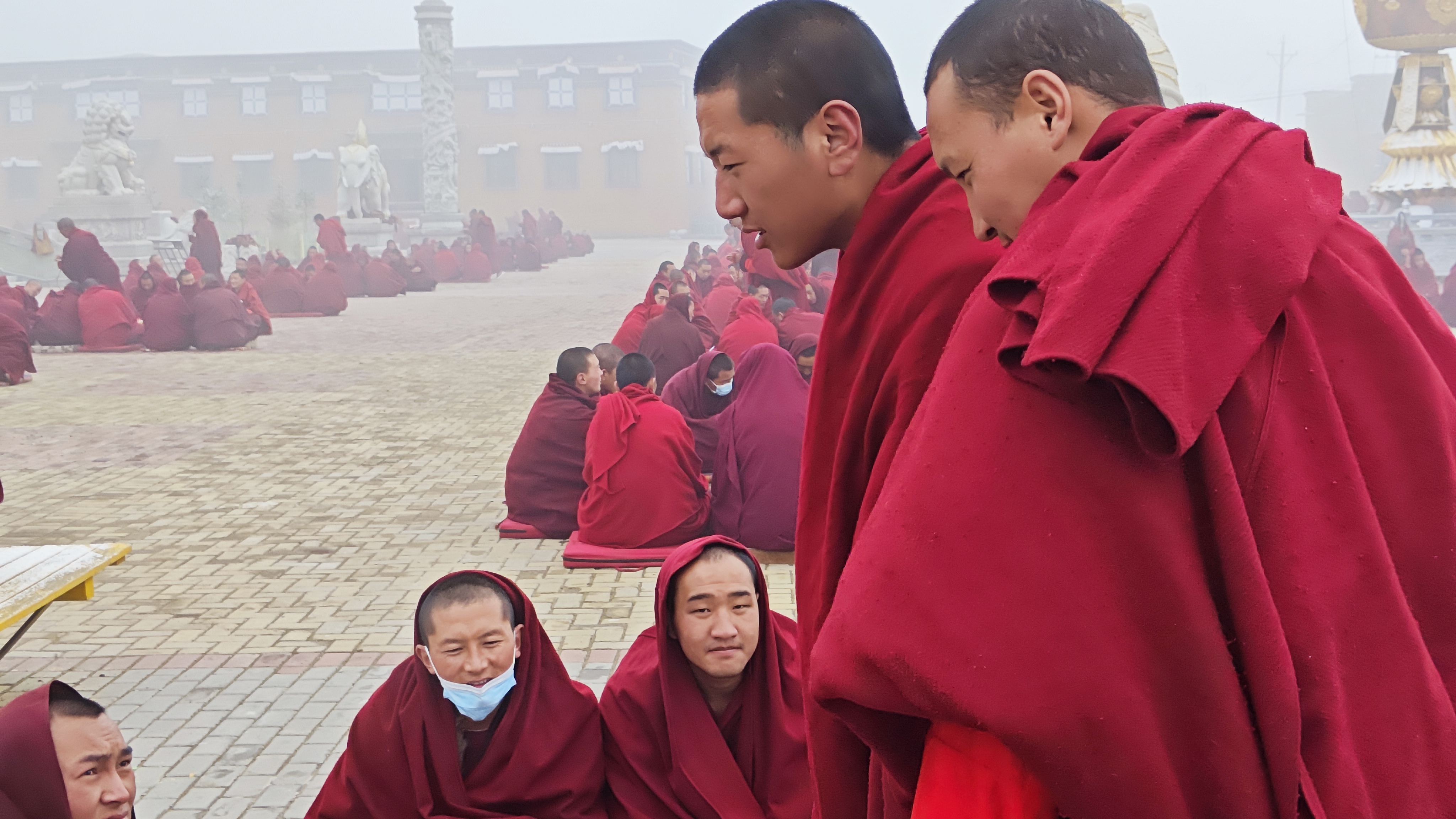 色须寺,川西,辩经场面十分热闹震撼,众僧人在树荫下手舞足蹈,口中念念