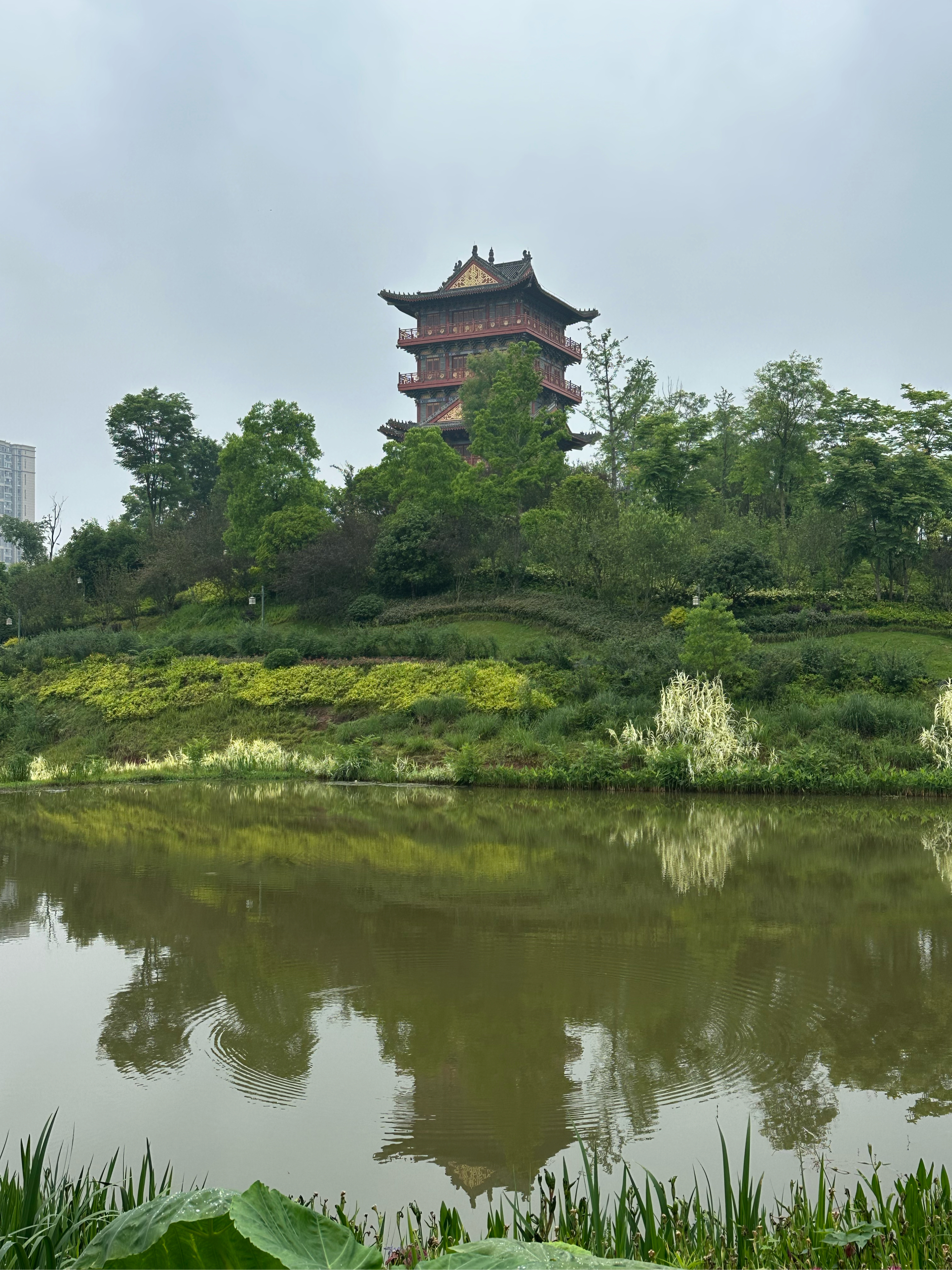 尽管眼下已经进入了初夏时节,但大足香国公园里,绿意葱笼,鲜花盛开