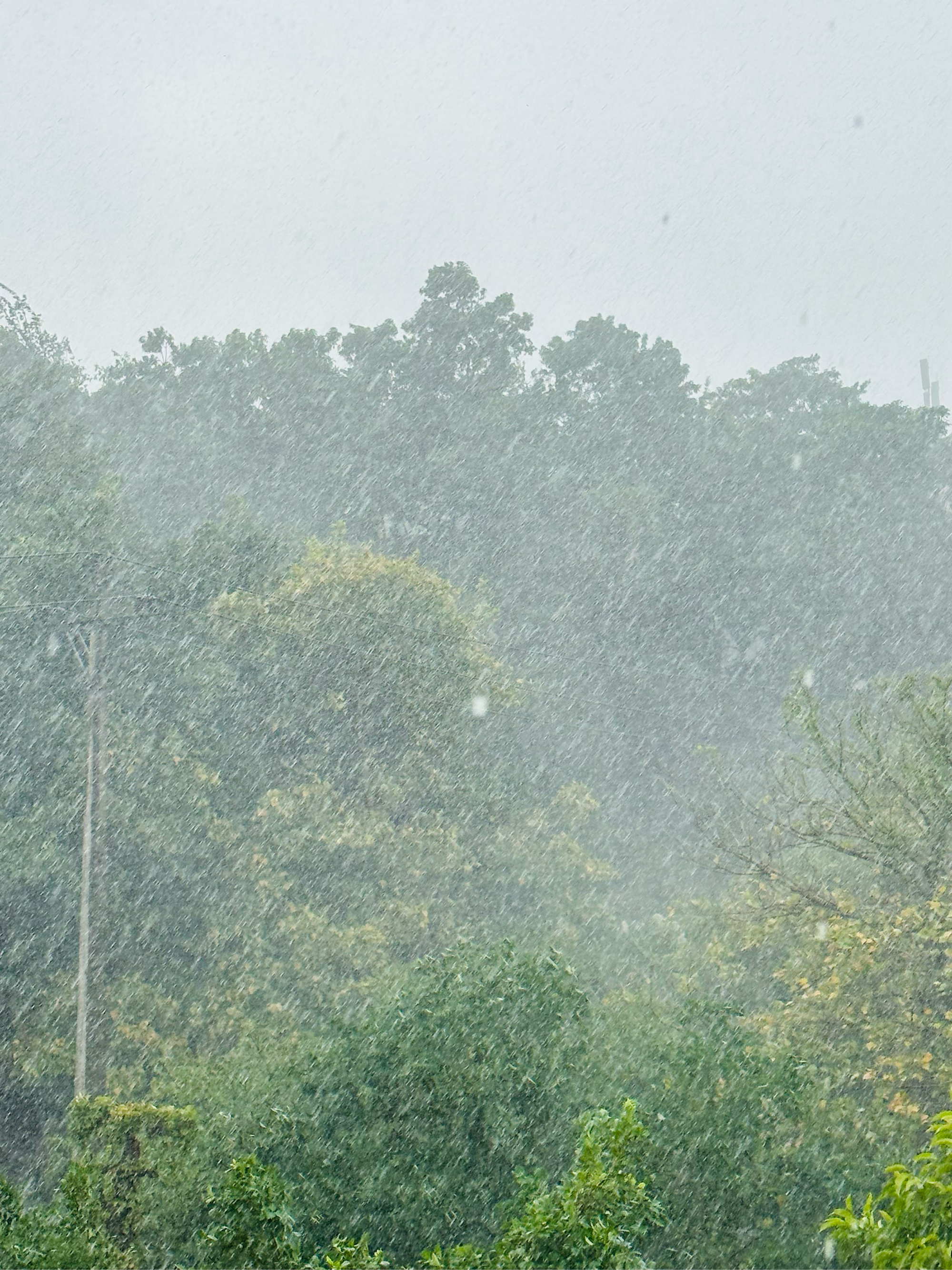 下大雨朋友圈图片