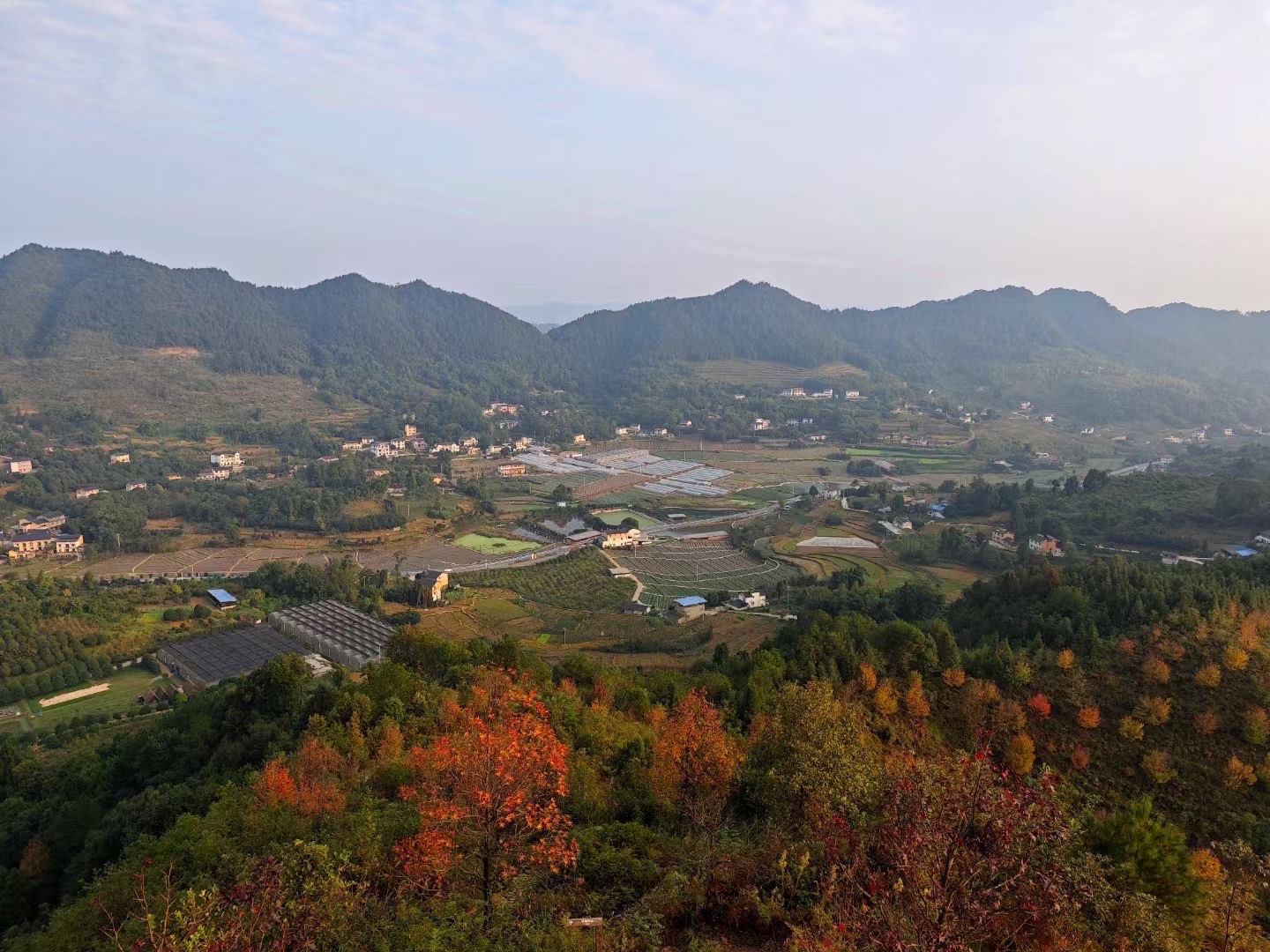 重庆巴南区红旗农场图片