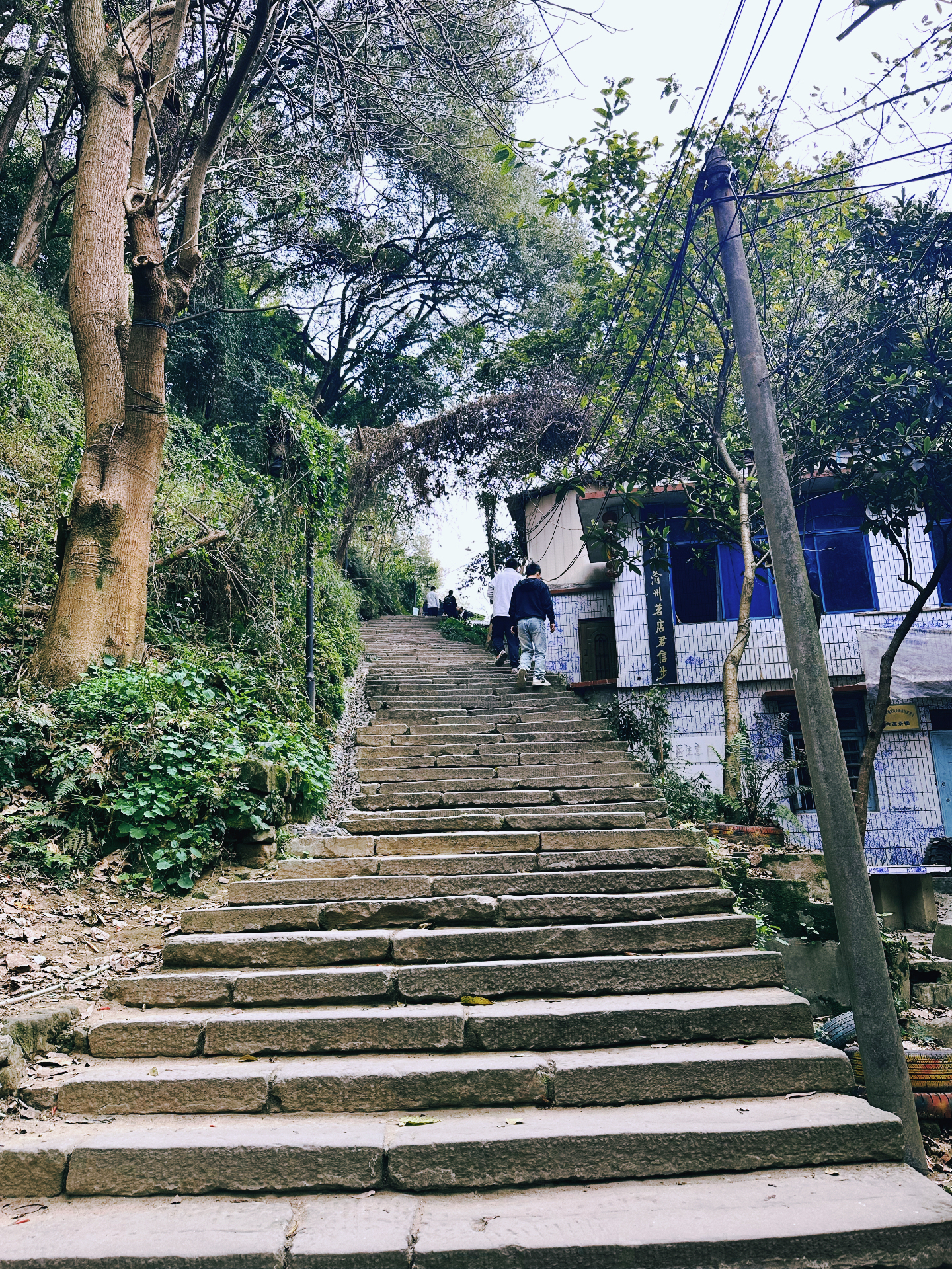 重庆山顶道图片