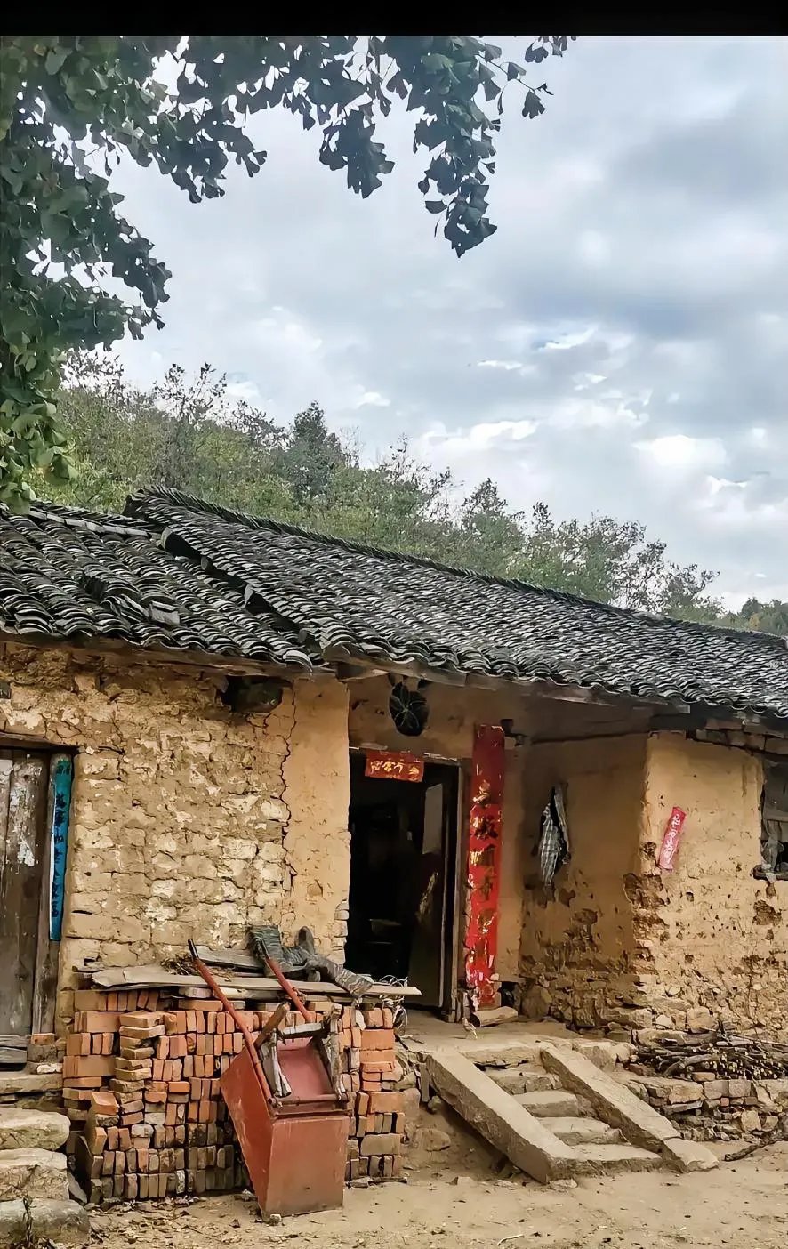 我舅妈年轻的时候去广西一个工地打工,那时候有个小哥对