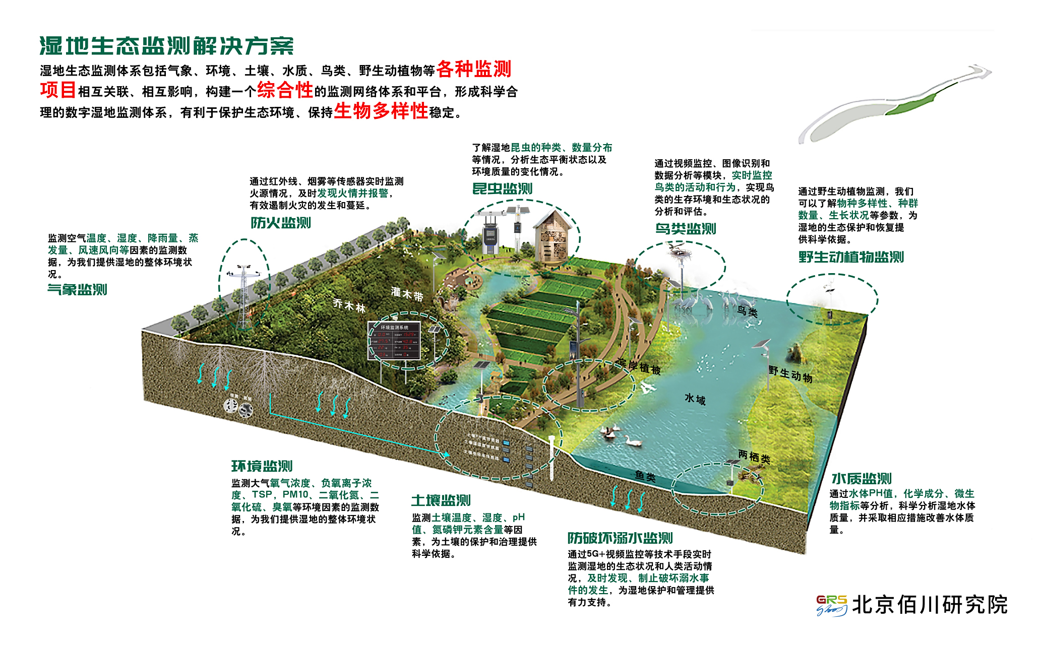 湿地被称为"地球之肾",与森林,海洋并称为全球三大生态系统类型,在