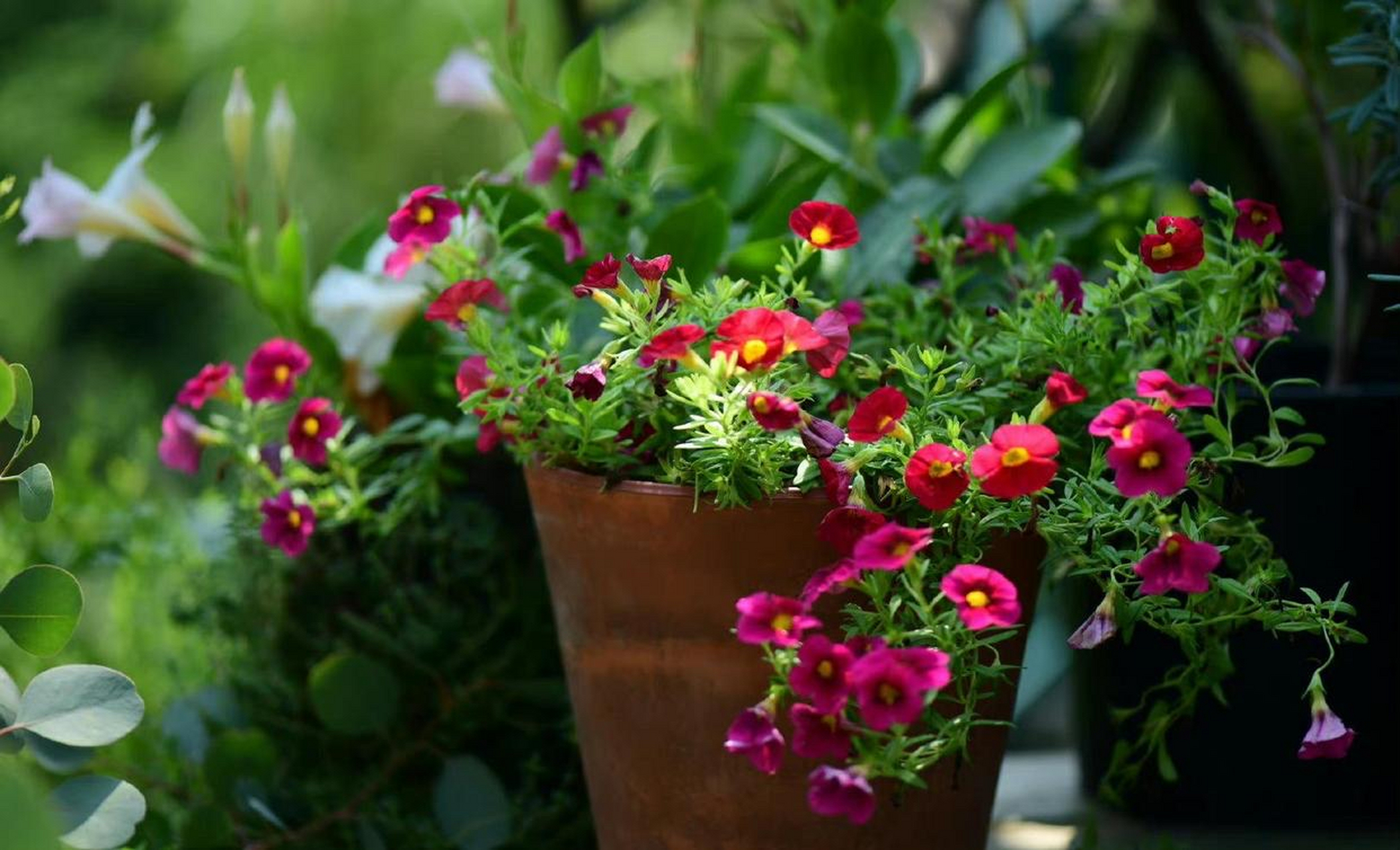 拥有一个情绪稳定的母亲,是孩子最大福气.