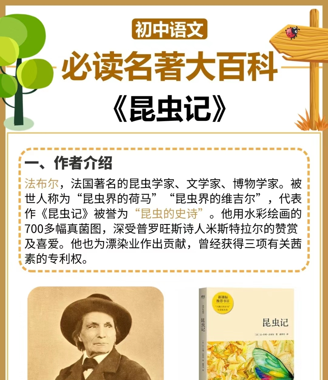 以人性观照虫性,以虫性反映社会人生,《昆虫记》 除真实记录昆虫的