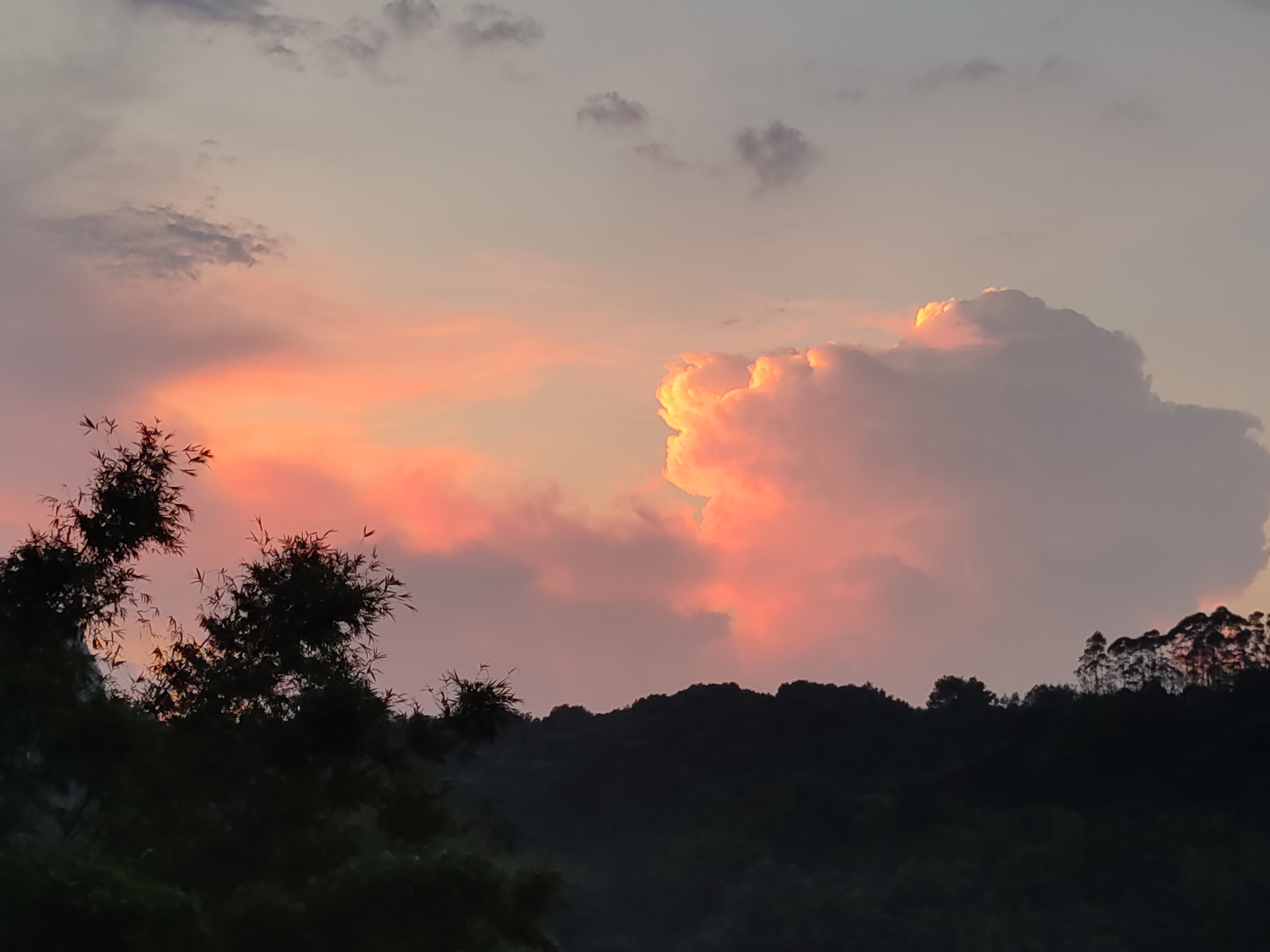 天空被落日的余晖染成了橙红色,云朵在微风的吹拂下轻轻飘动.
