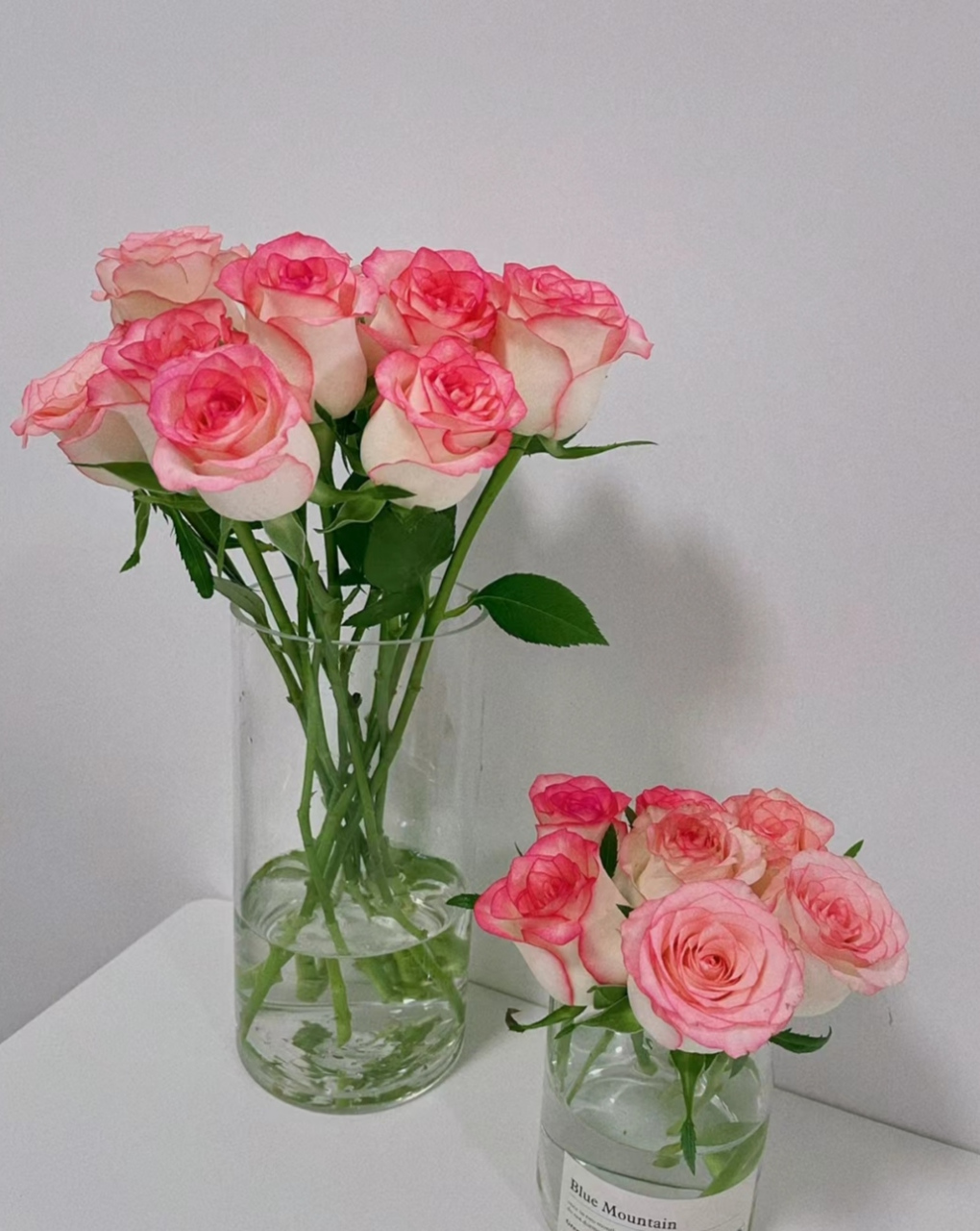 玫瑰花束插瓶养护方法,堪称保姆级教程!