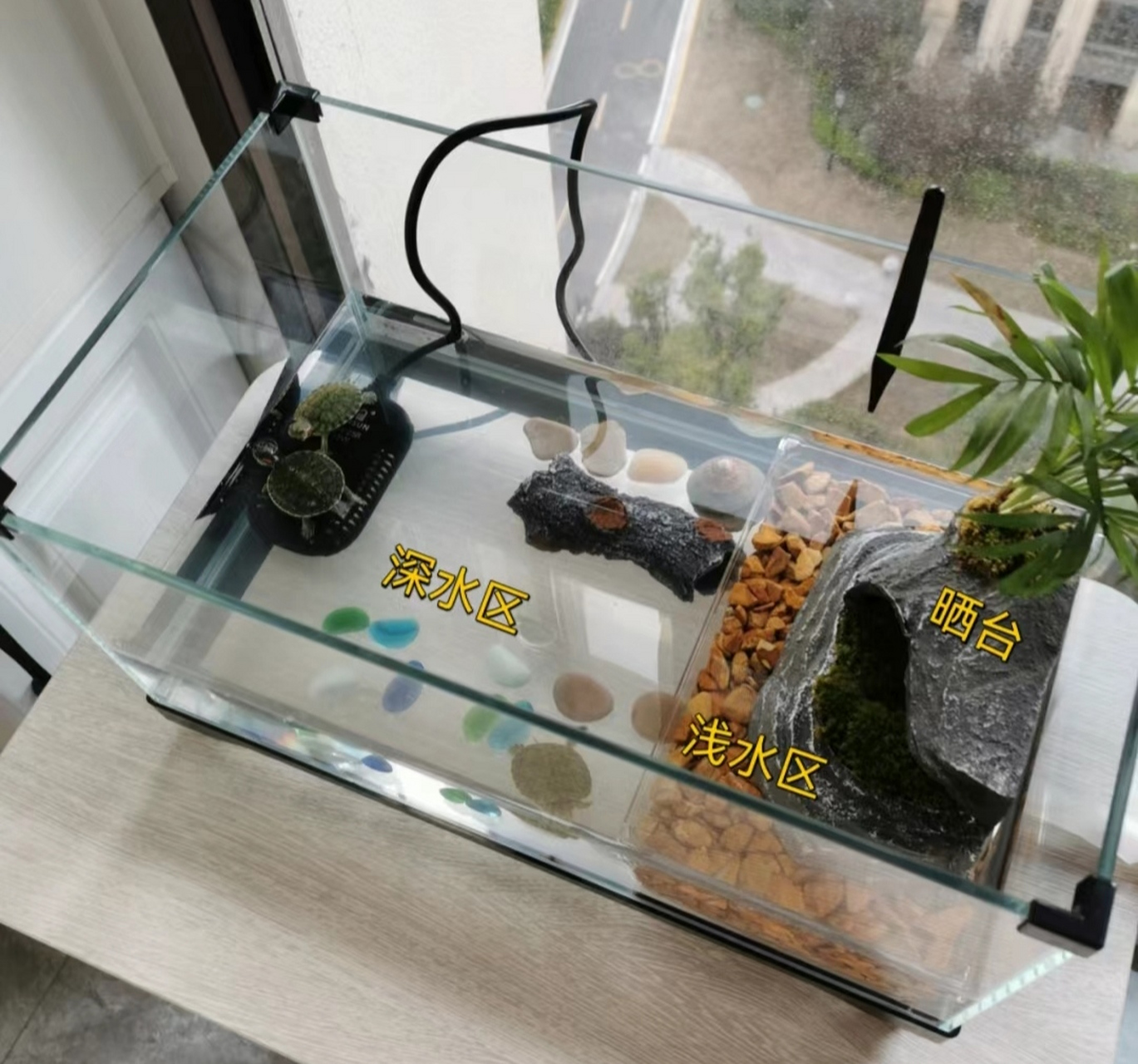 我家的龟缸布置,完美~ 龟家虽小,但五脏俱全,我设置了