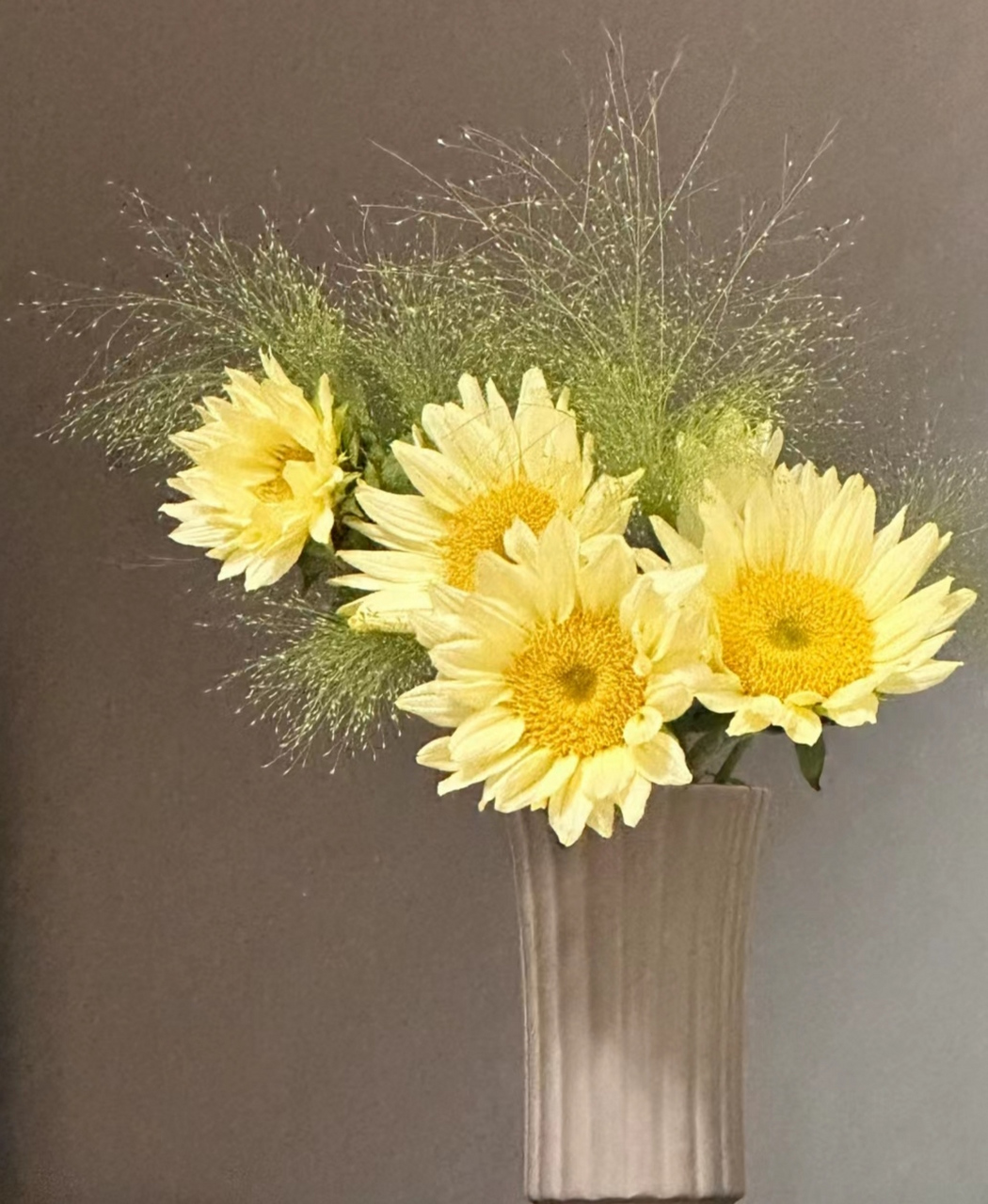 奶油向日葵插瓶养护,拿到没开花的不要扔,告诉你不可错过的养护指南