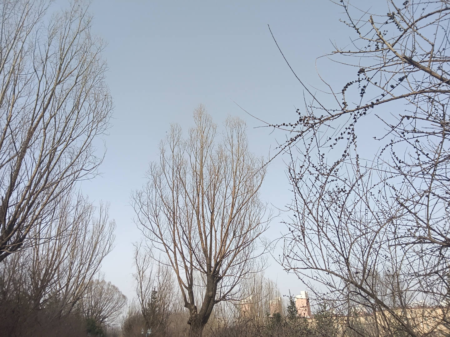 朋友说她和她老公每天说不了两句话,假期放假了他俩每天吵架了闹的天