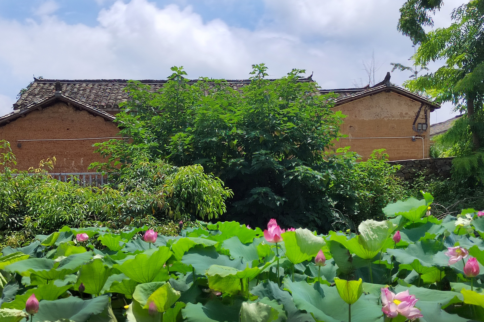 南宁市美丽乡村~"蔡村 " 蔡村位于南宁市宾阳县古辣镇,距南宁一小时