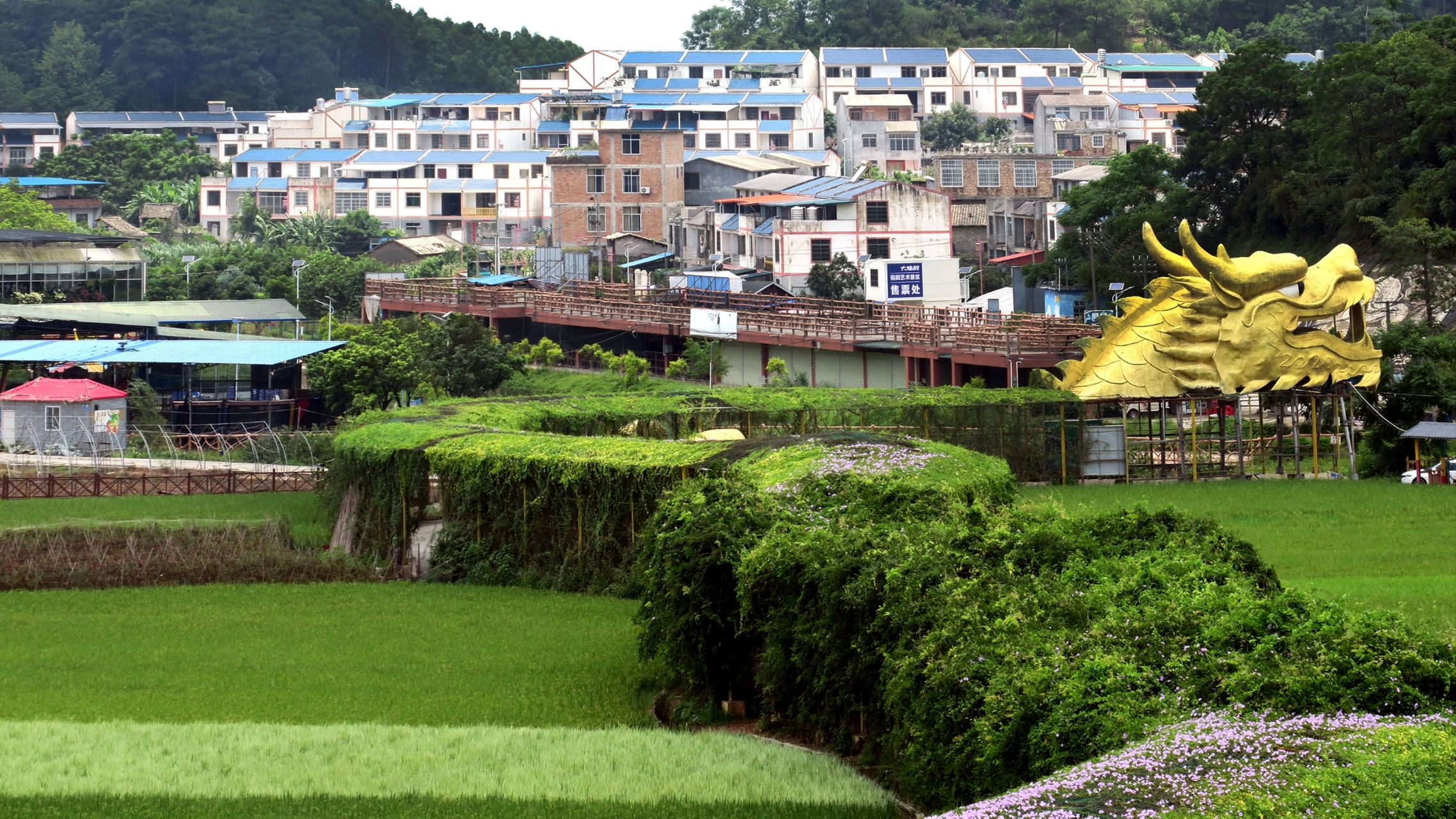 广西宾阳古辣镇图片