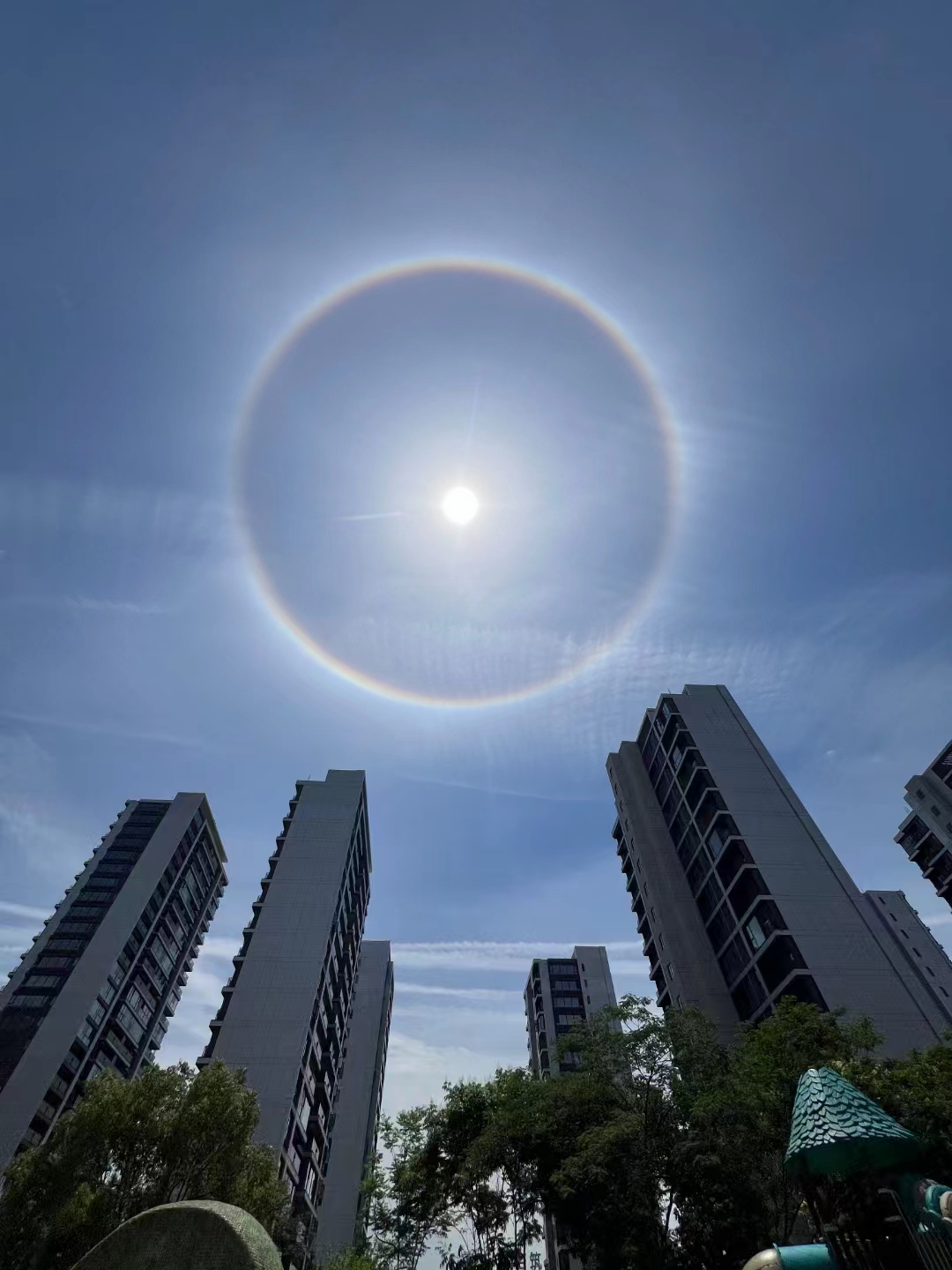 温州地区今天一整天