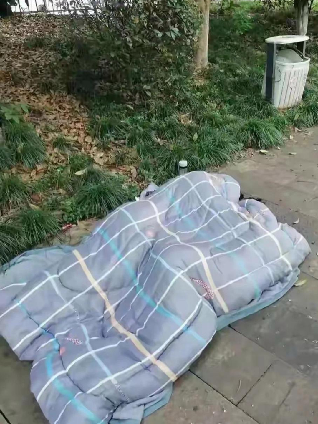 早上出去买菜的时候,路过公园,看见路上躺着两个青年男女,他们睡在
