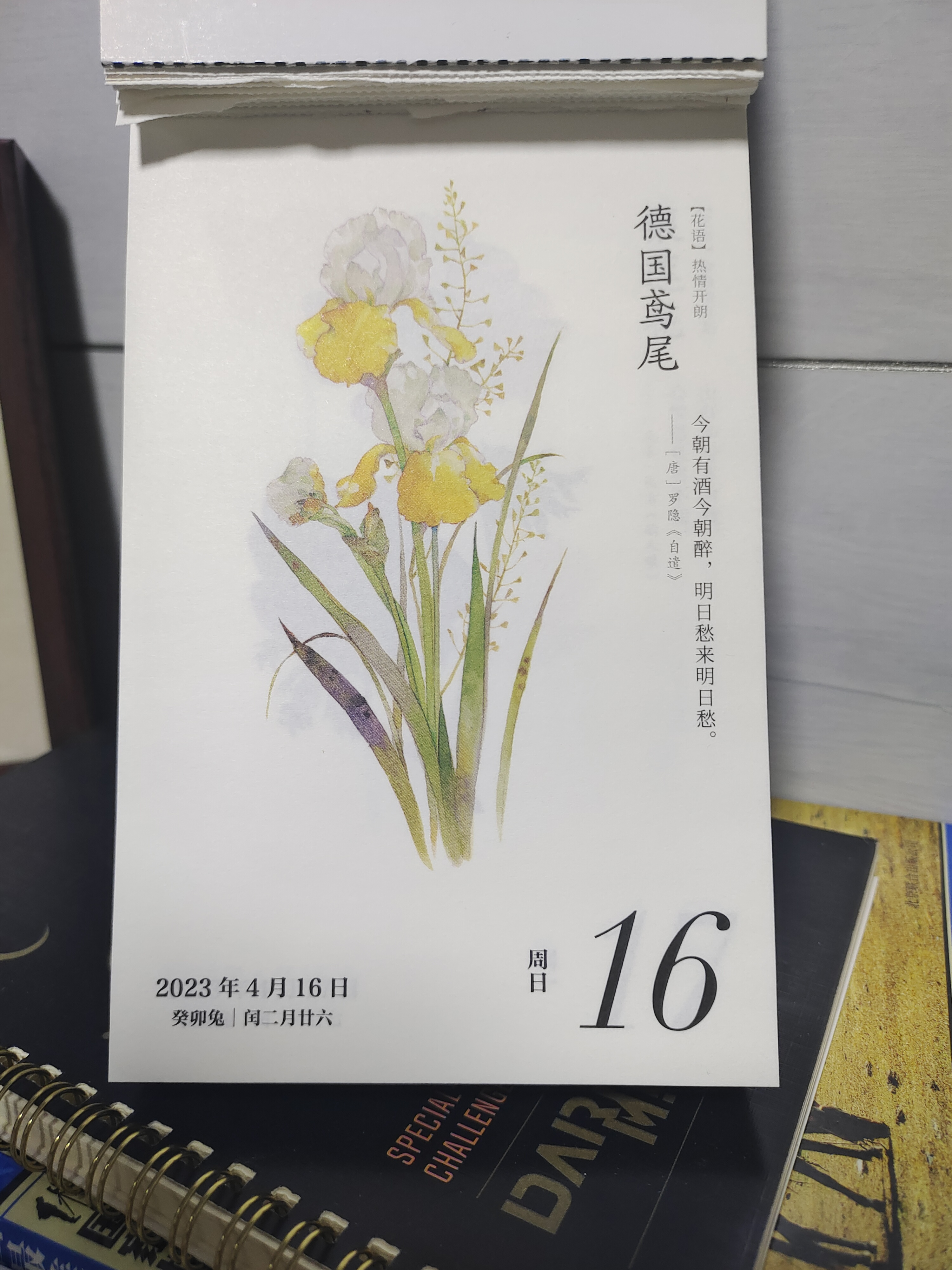 花语 106 期