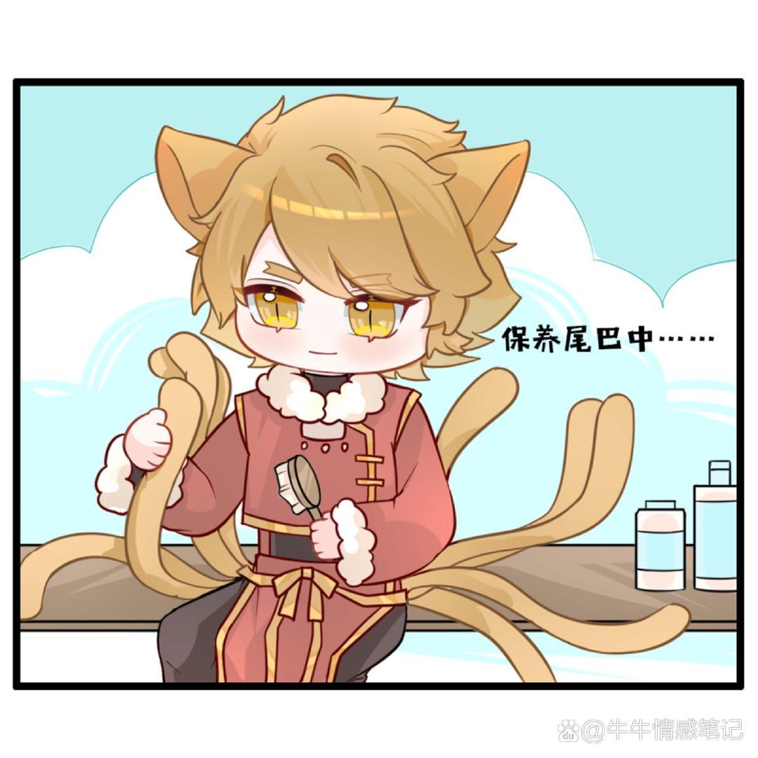 九尾猫工作室=九尾猫工作室官网