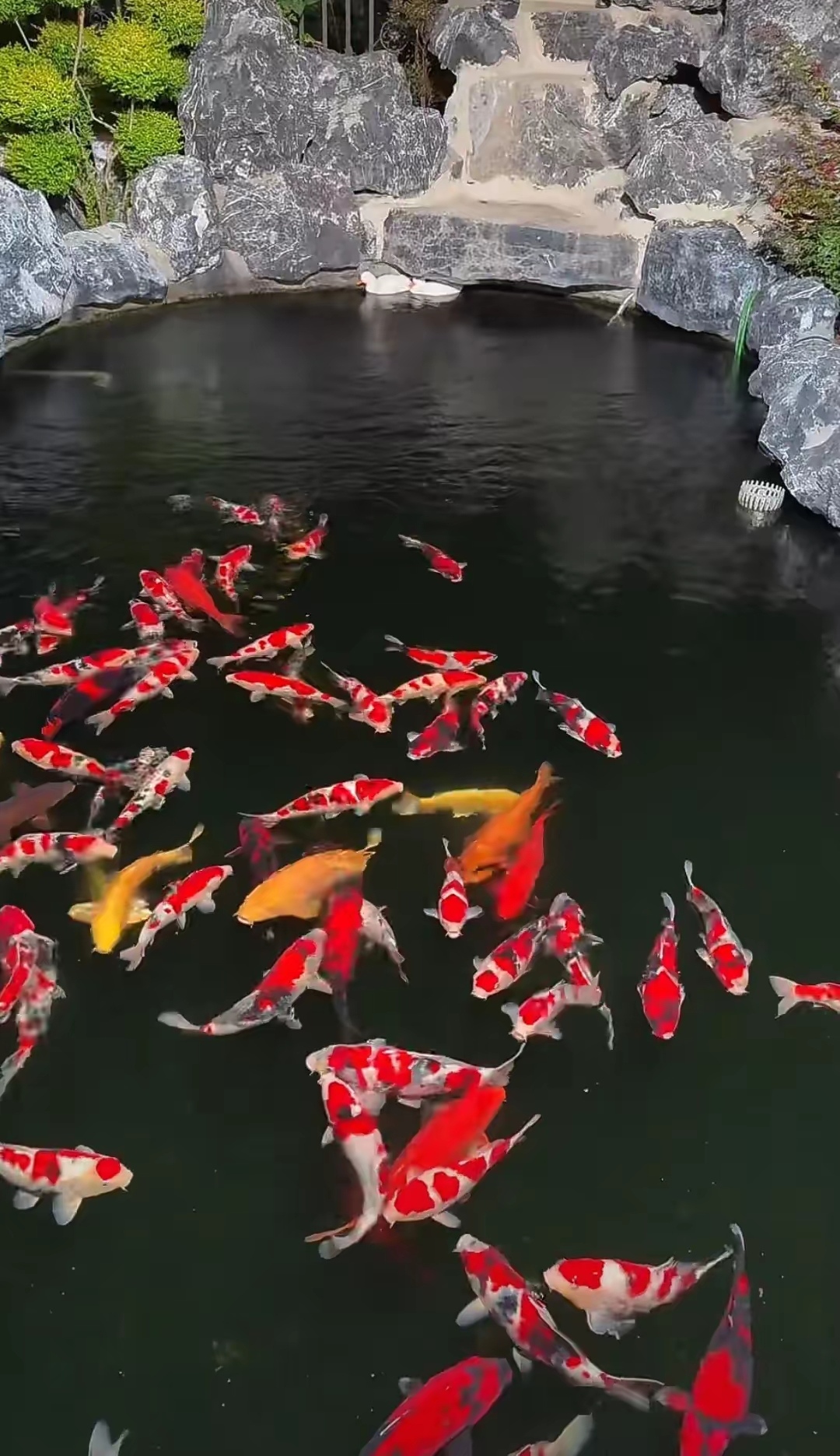 树长得再高也得低头看看土里的根,人混得再阔也