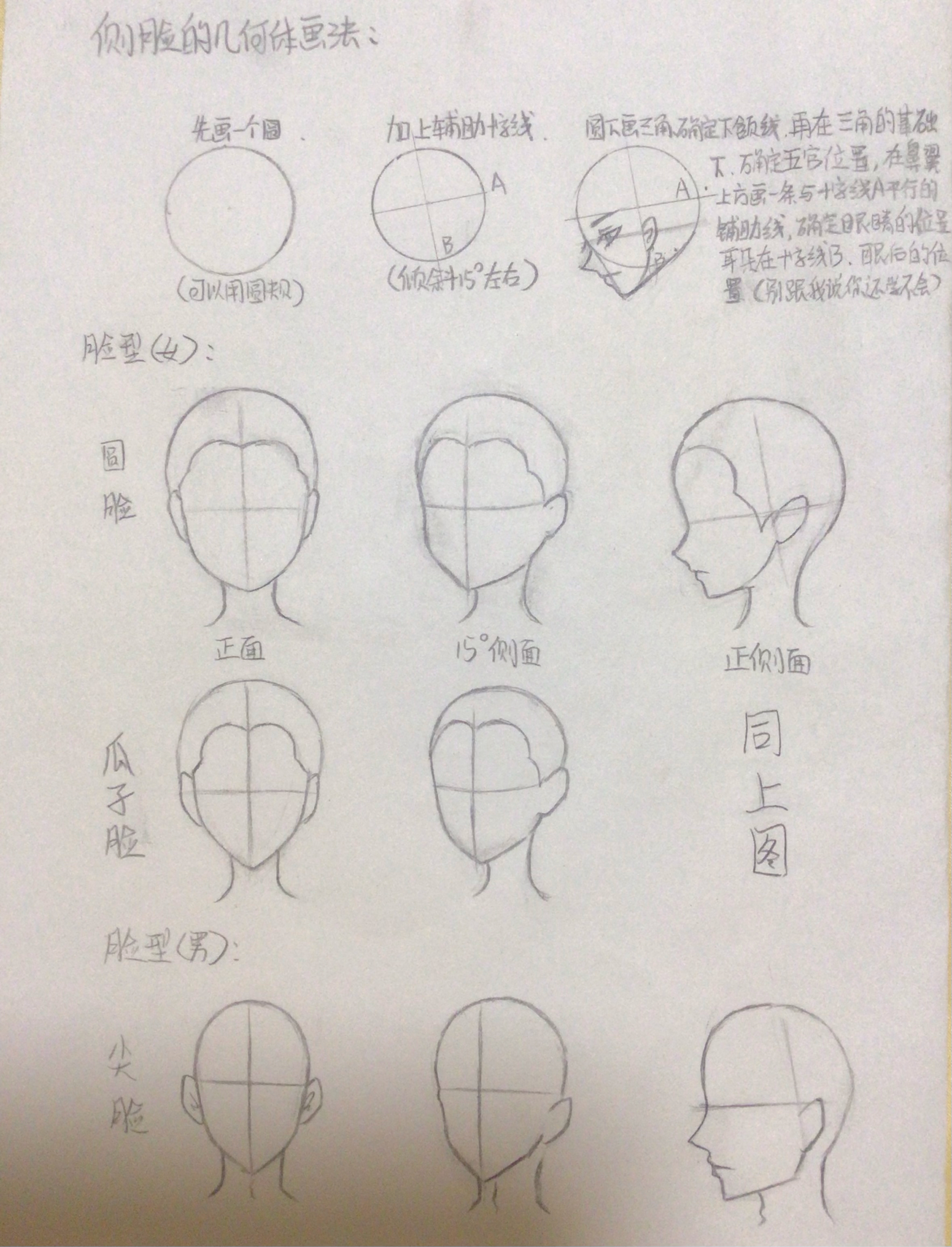 不同脸型的画法图片