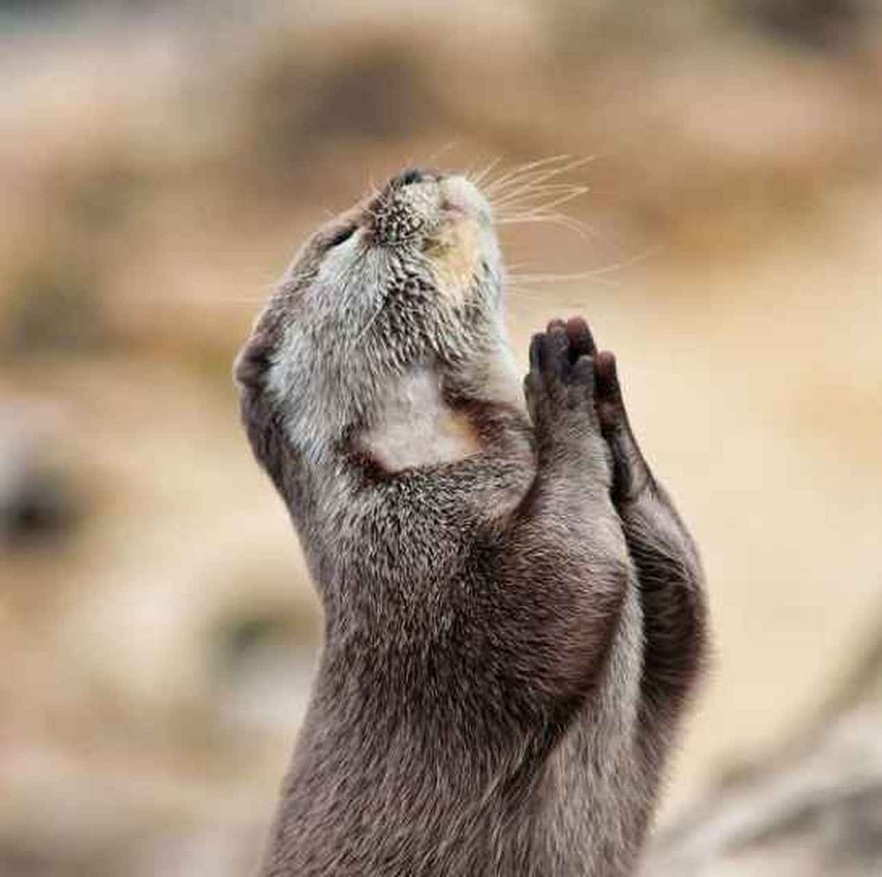 看到七年后林静和郑微重逢,林静深情款款来了句良久不见接着就开始掏