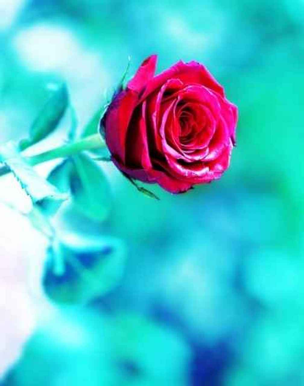 最近室友屁股上长了点癣,昨天晚上他回来得比较晚,怕影响我们就没开灯