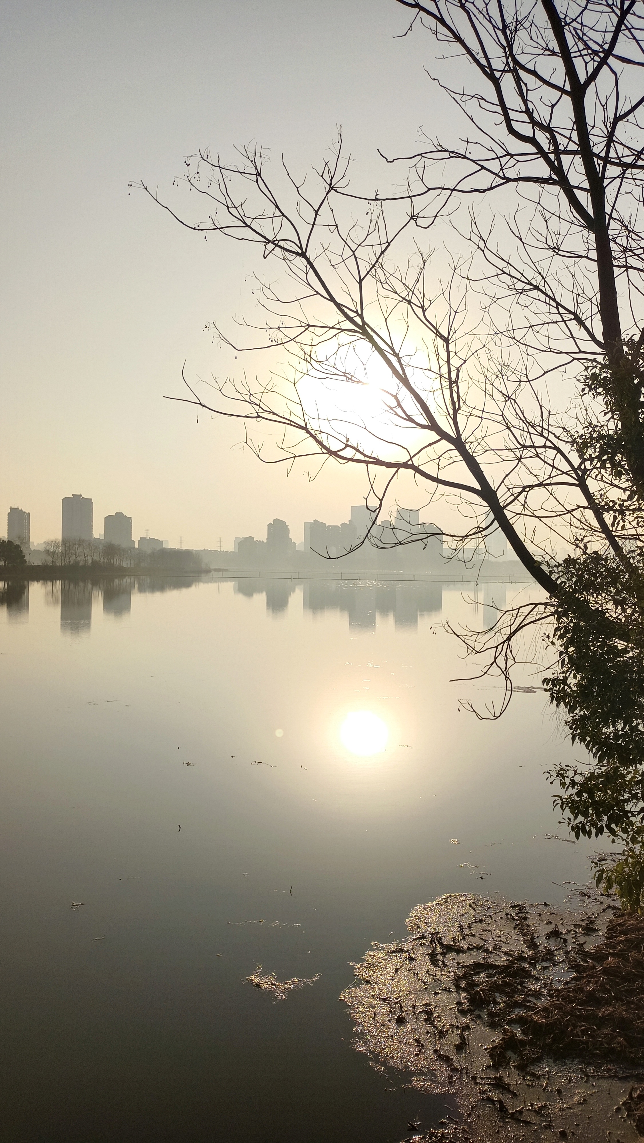 风景相片早晨图片