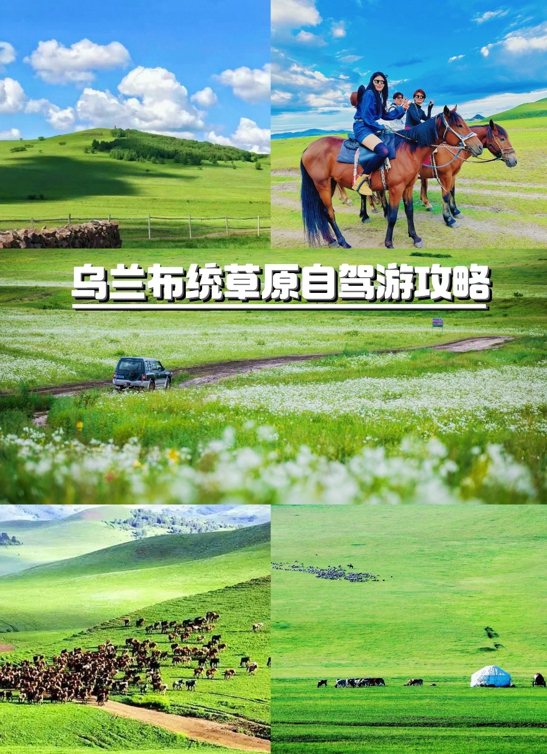 乌兰布统草原自驾游攻略 这个夏天总要去一次大草原吧 身处在草原上