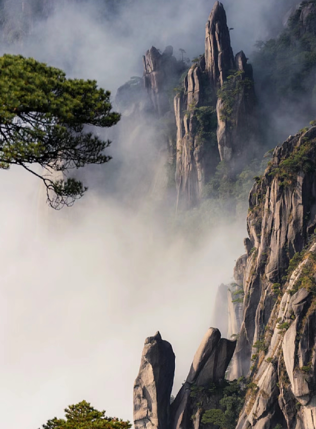 江西旅游必去的十大景点合集 武功山 位于江西省萍乡市,5a级景区,被评