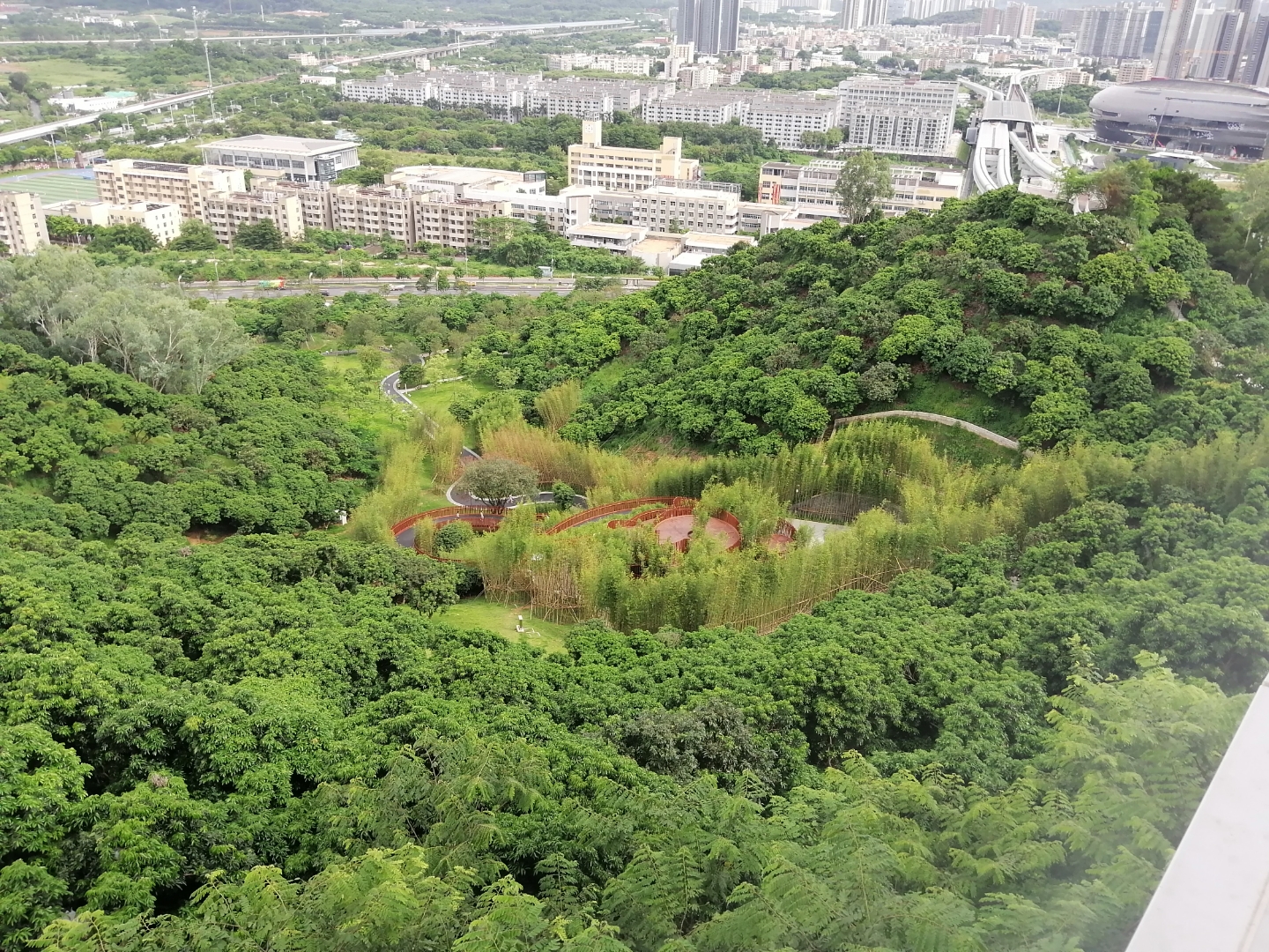 深圳科学公园光明顶,炎炎暑日,天高云淡,虹桥,光明水库,中山大学深圳