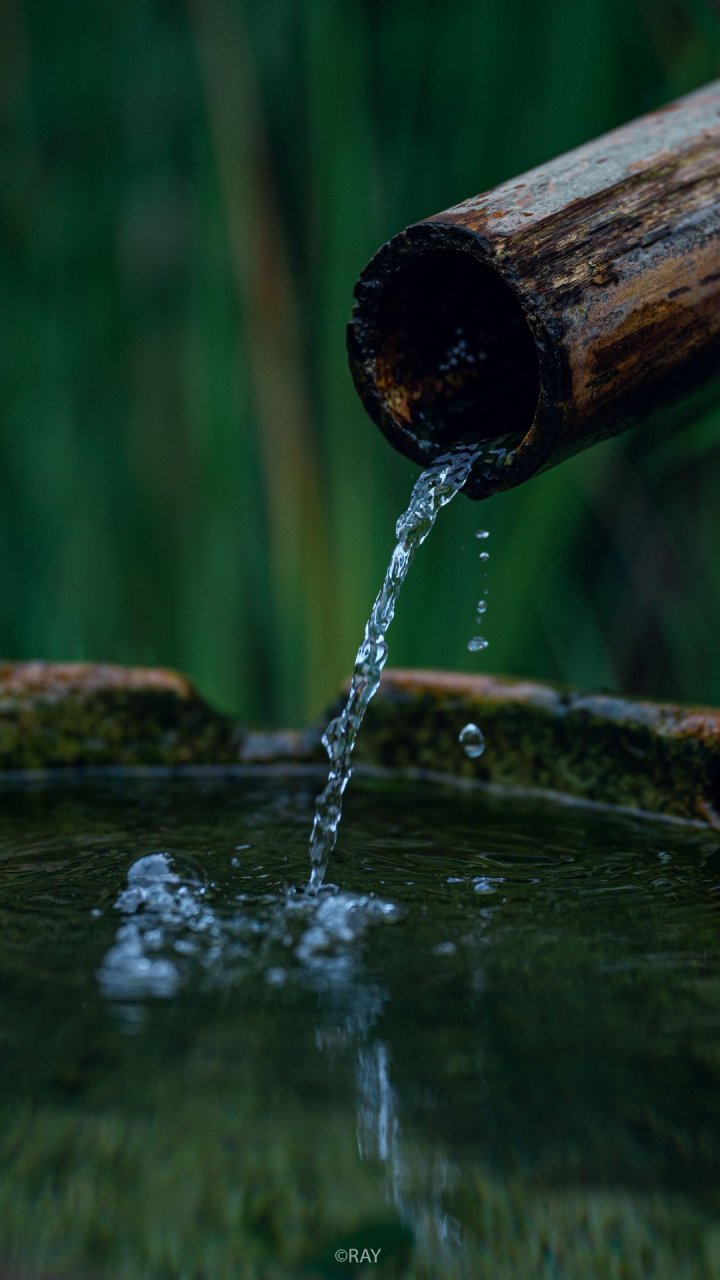 世人以禅宗修习居多,修禅虽易,然得觉悟极难,修禅核心之义如下