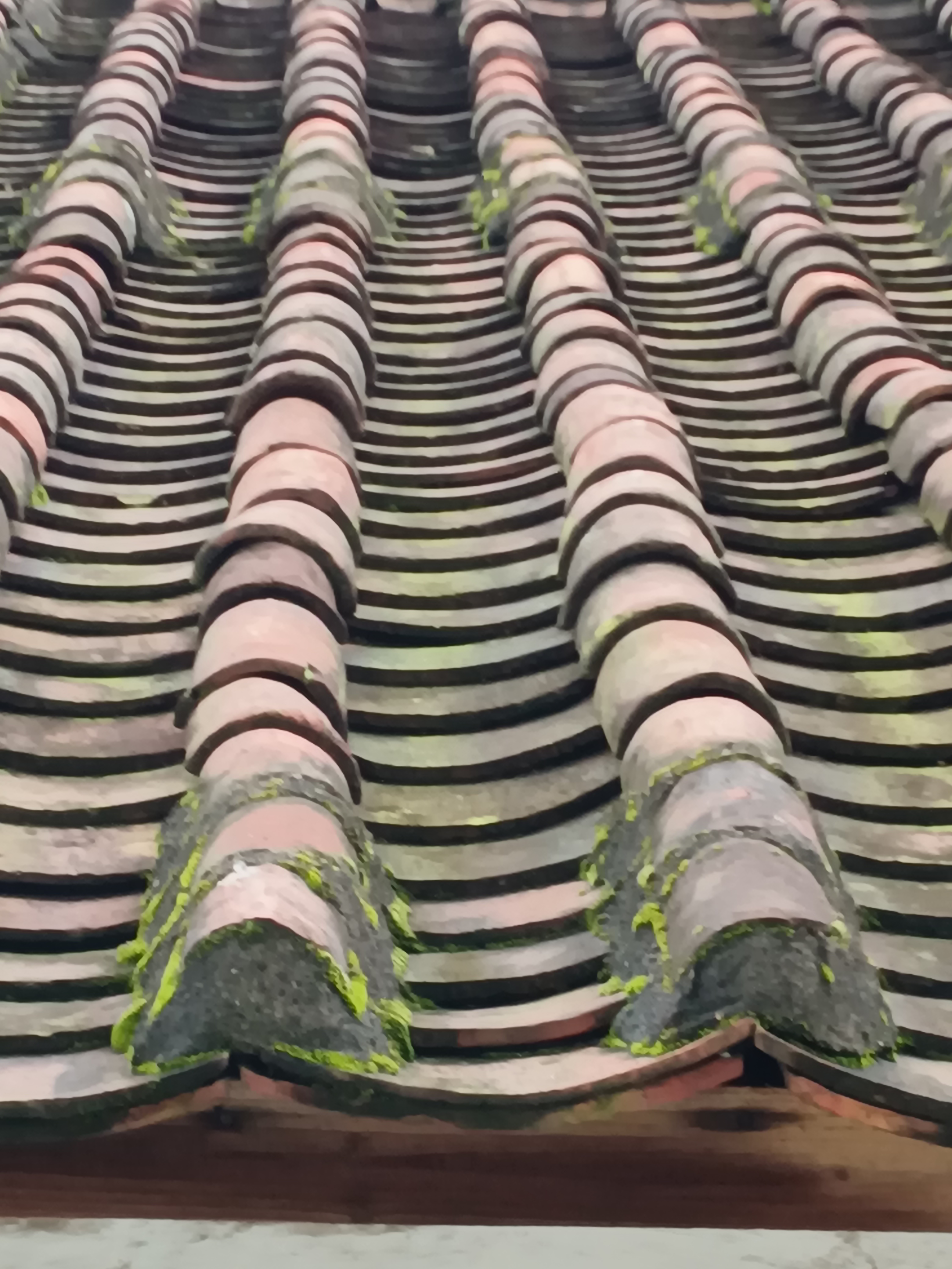 在四会市看到农村这样的瓦房,让我感到无比的亲切