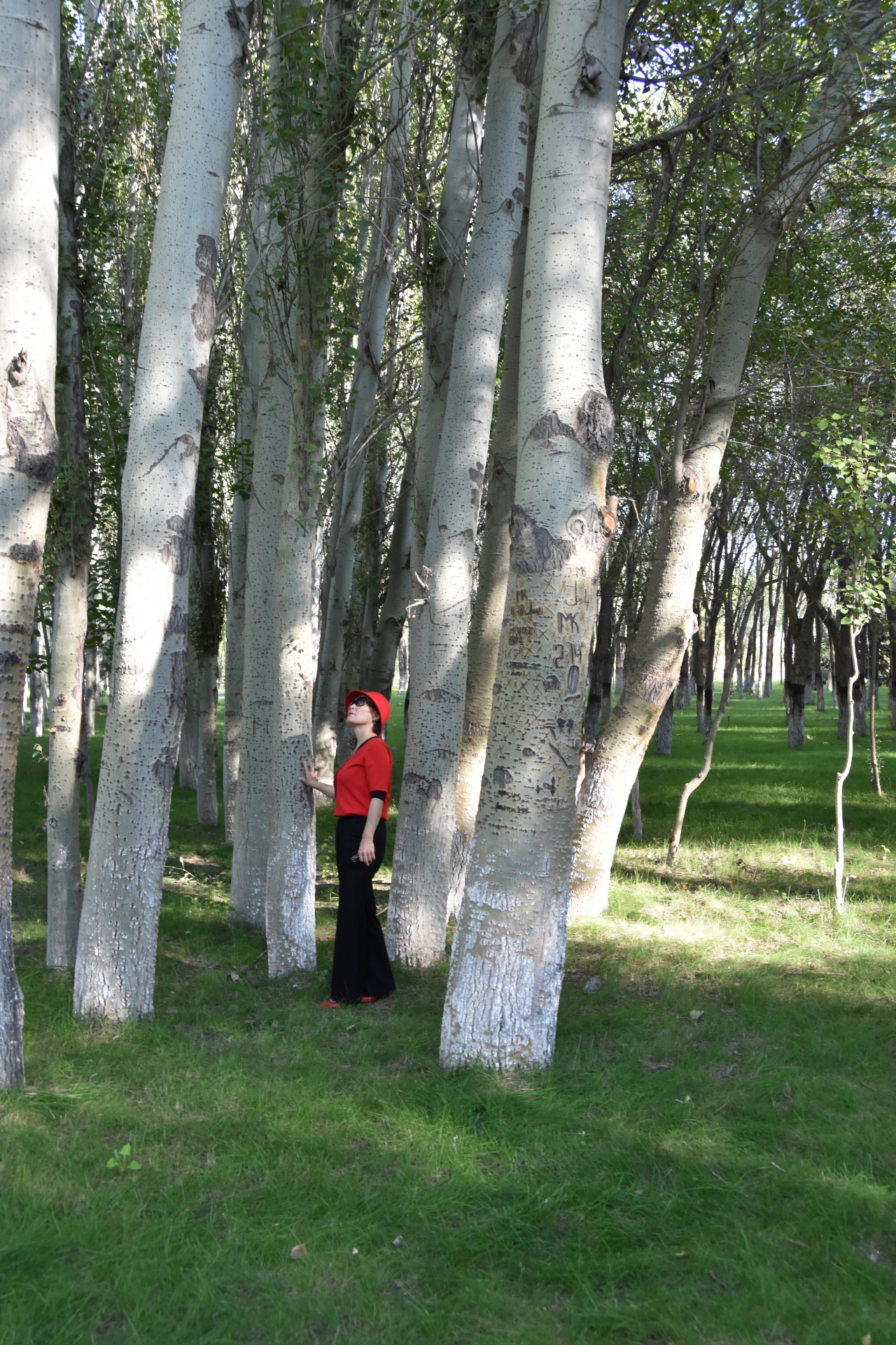 拜登对以无底线偏袒让年轻一代吃惊  新一轮巴以冲突爆发之前,"支持