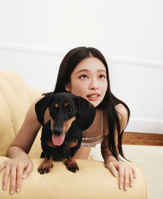 很有温度的女孩  金珍妮(,jennie kim),1996年1月16日出生于韩国首尔
