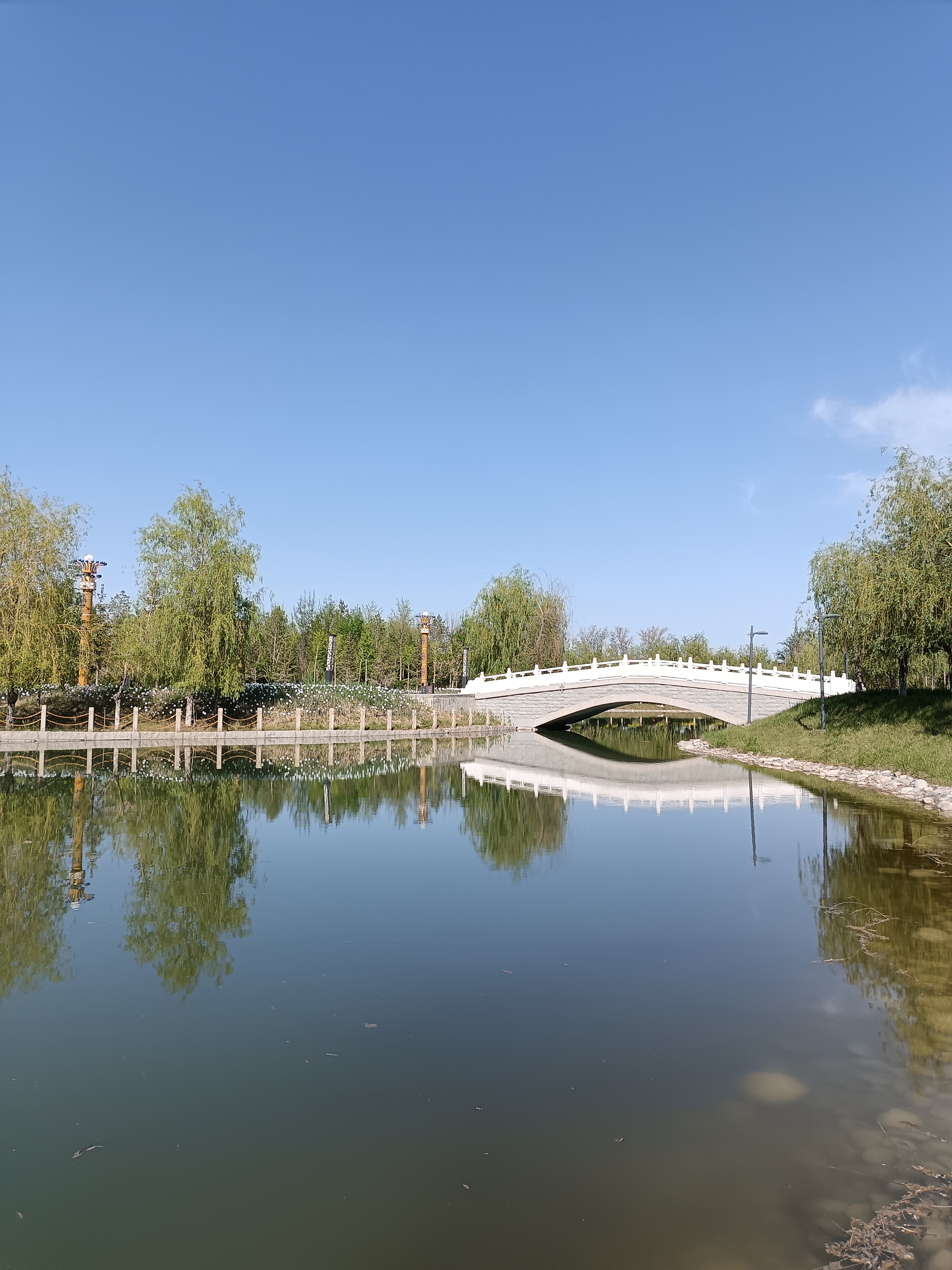 藏在身边的绝美光影# 78博尔塔拉河,犹如一面明镜,映照着周围的