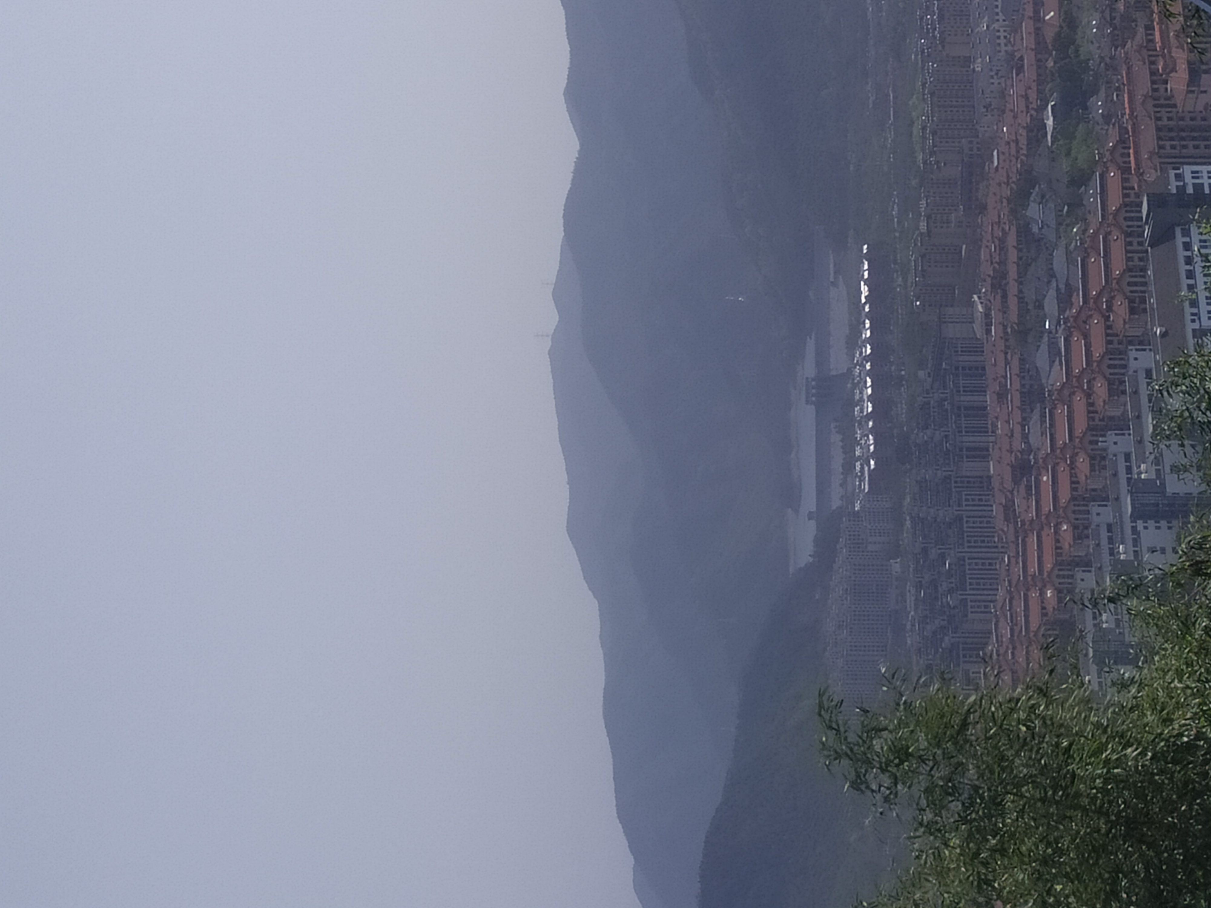 浙江省安吉县凤凰山森林公园