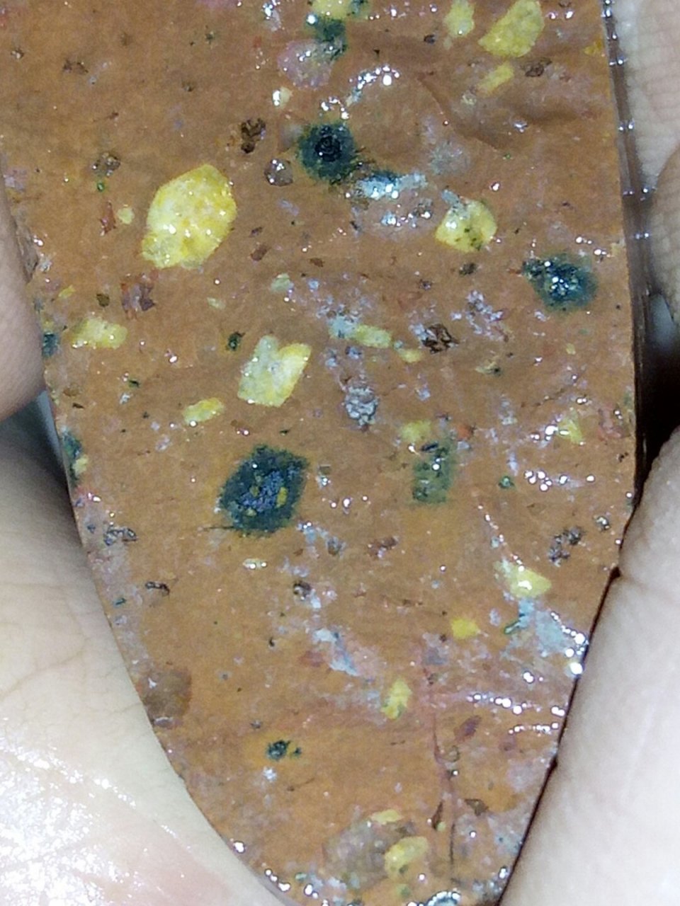 火星橄榄角砾岩陨石,图1为断面,可见黄色堆晶体橄榄石.