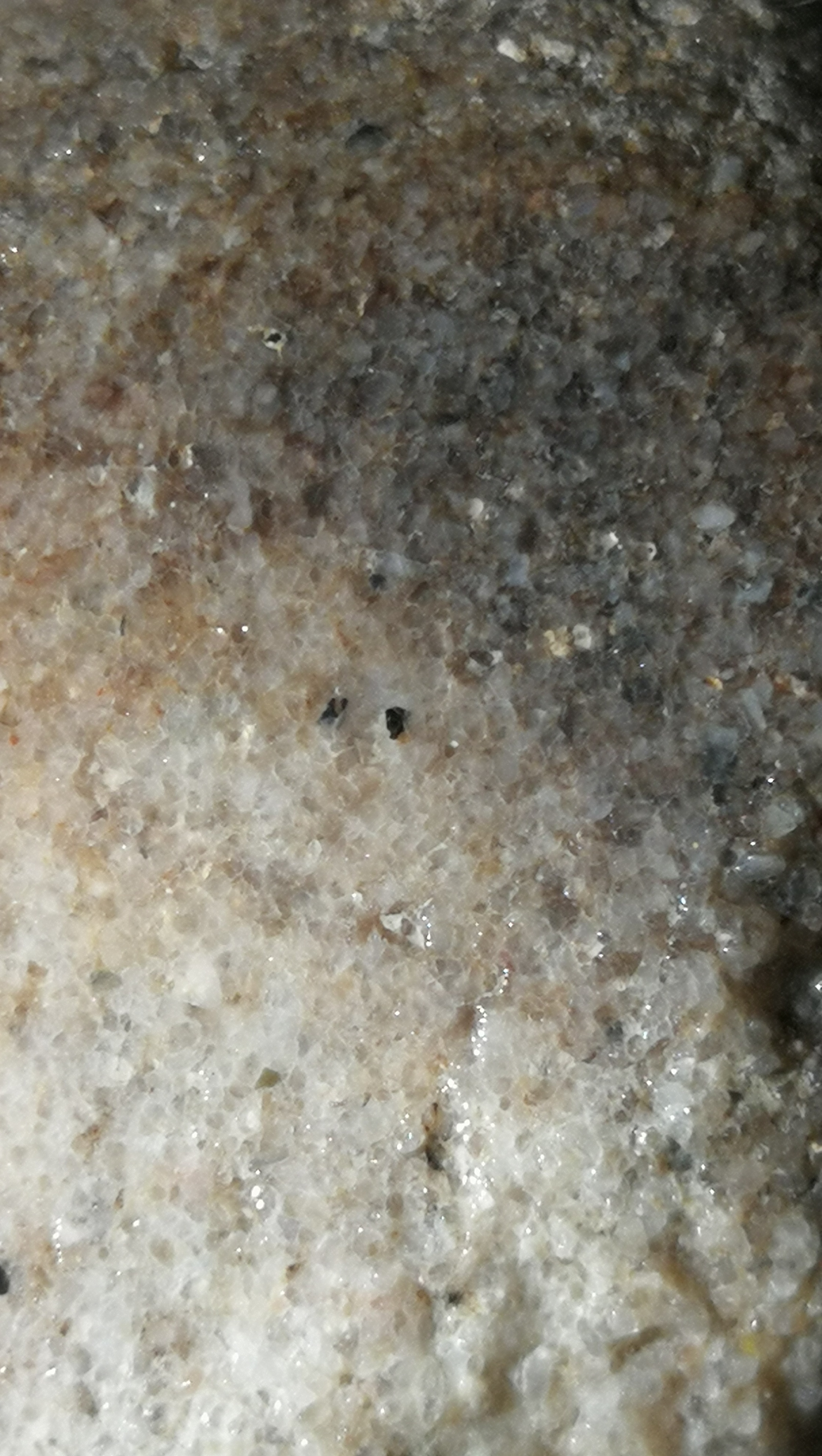 普通球粒陨石ll7型,国际命名nwa2965el7型顽火辉陨石图1一2,已发现的