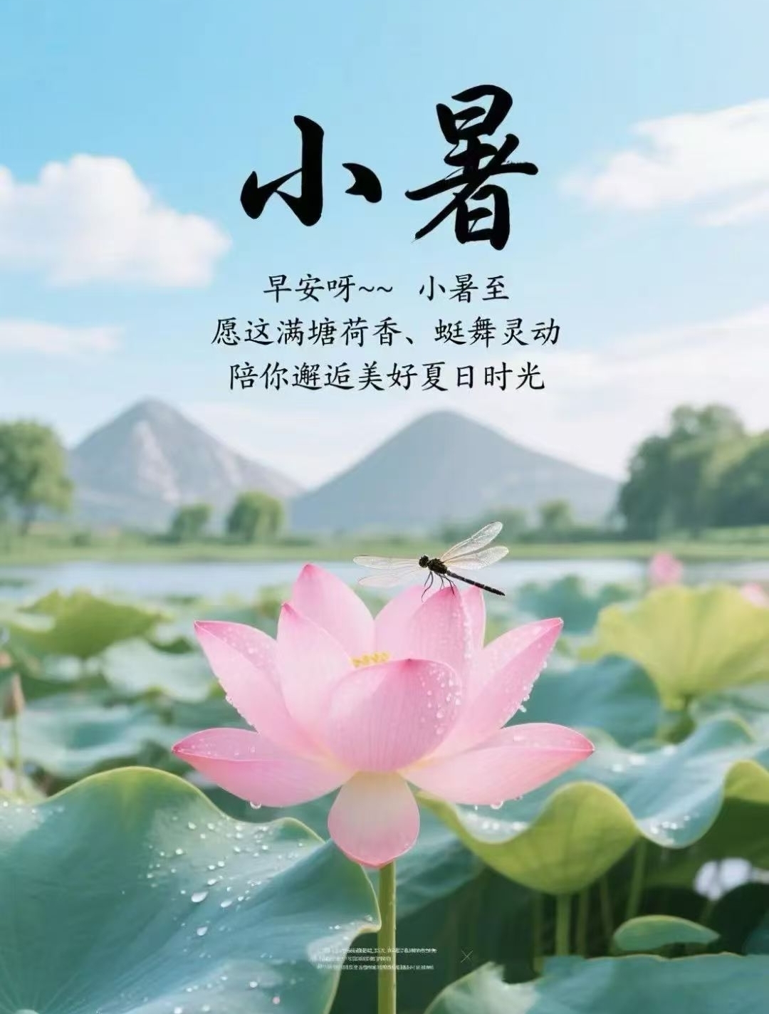 节气:小暑 - 文案:早安呀~~ 小暑至,愿这满塘荷香,蜓