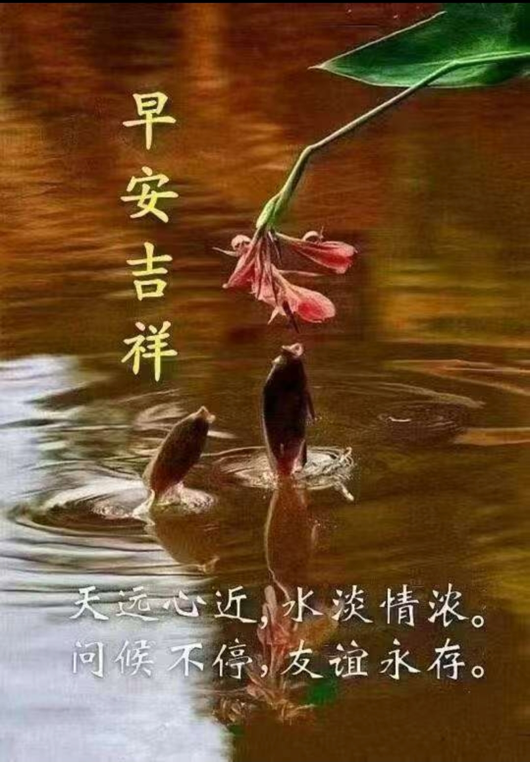 传达出即便距离遥远,情谊也深厚,借早安问候维系友谊的美好祝愿,可