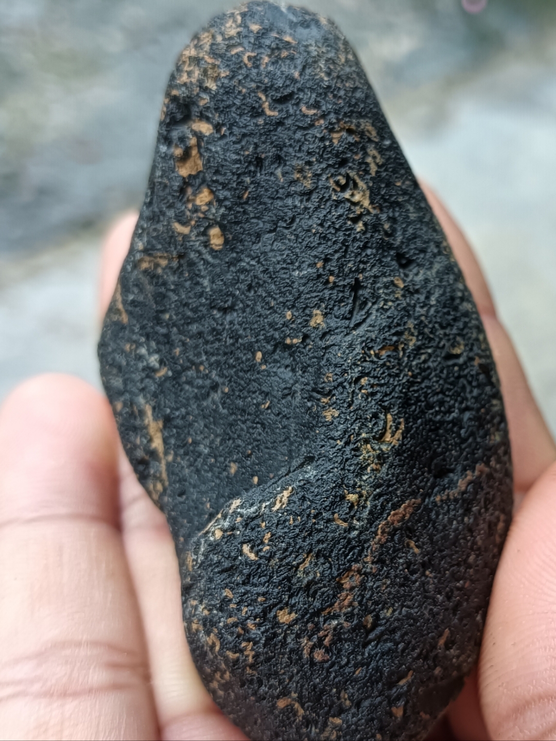 在山路上看到,闪闪发光黑亮亮的石头,我就捡回来收藏,日积月累,差不多