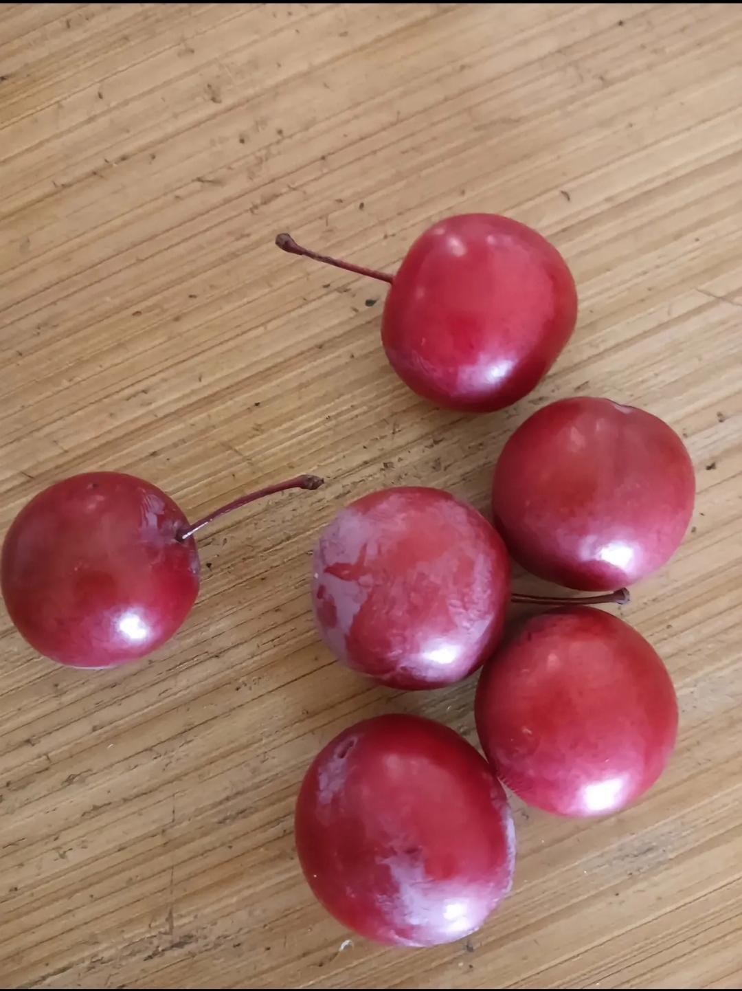 红红的果子特别的诱人,就摘了几颗拿回家里,有没有人知道这是什么果子