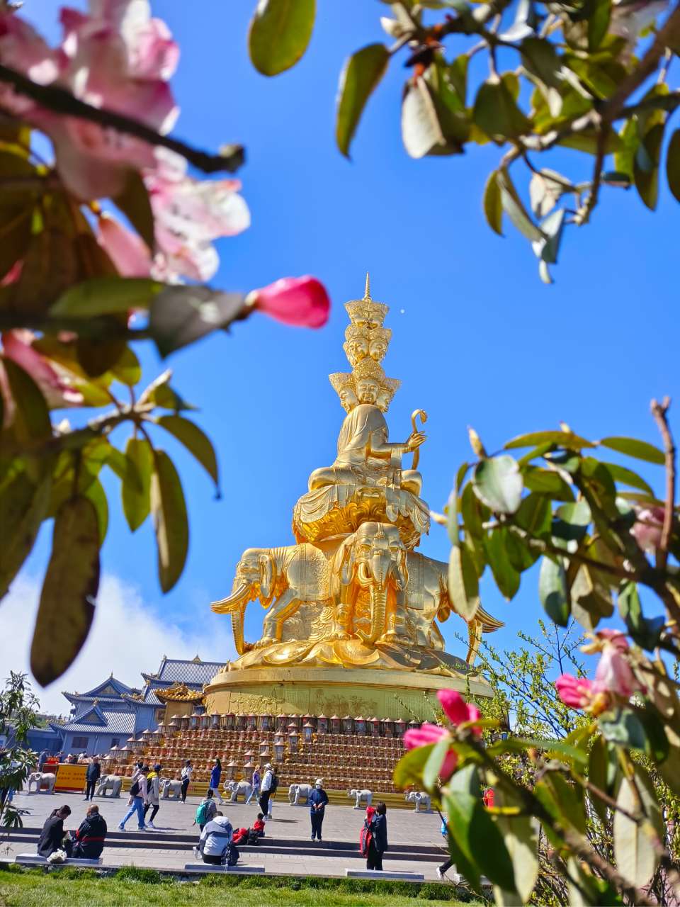 年6月4日74 7966good morning   今天:星期日 农历:四月十七