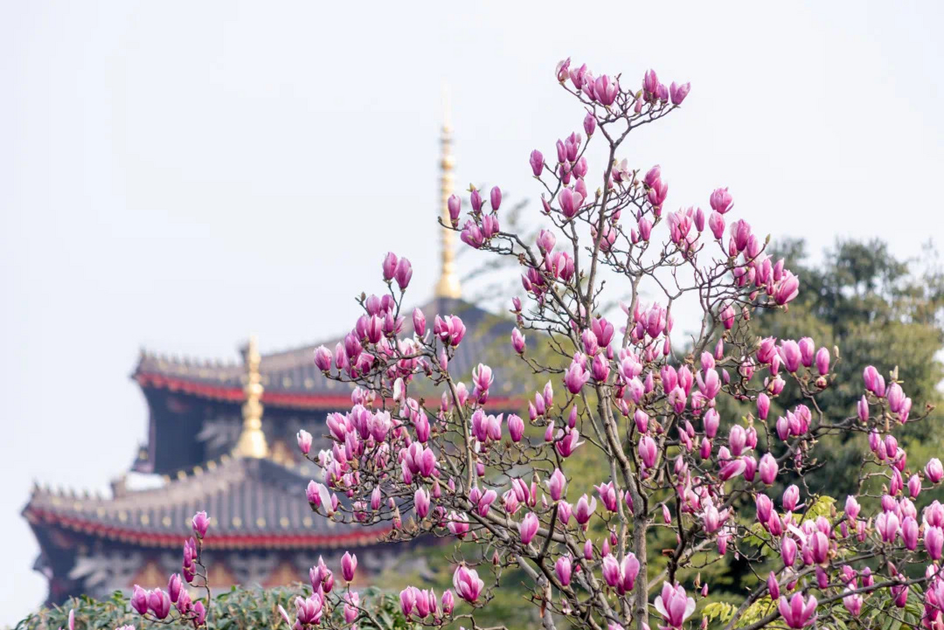 2023年3月7日74 7966good morning     今天:星期二 农历:二月