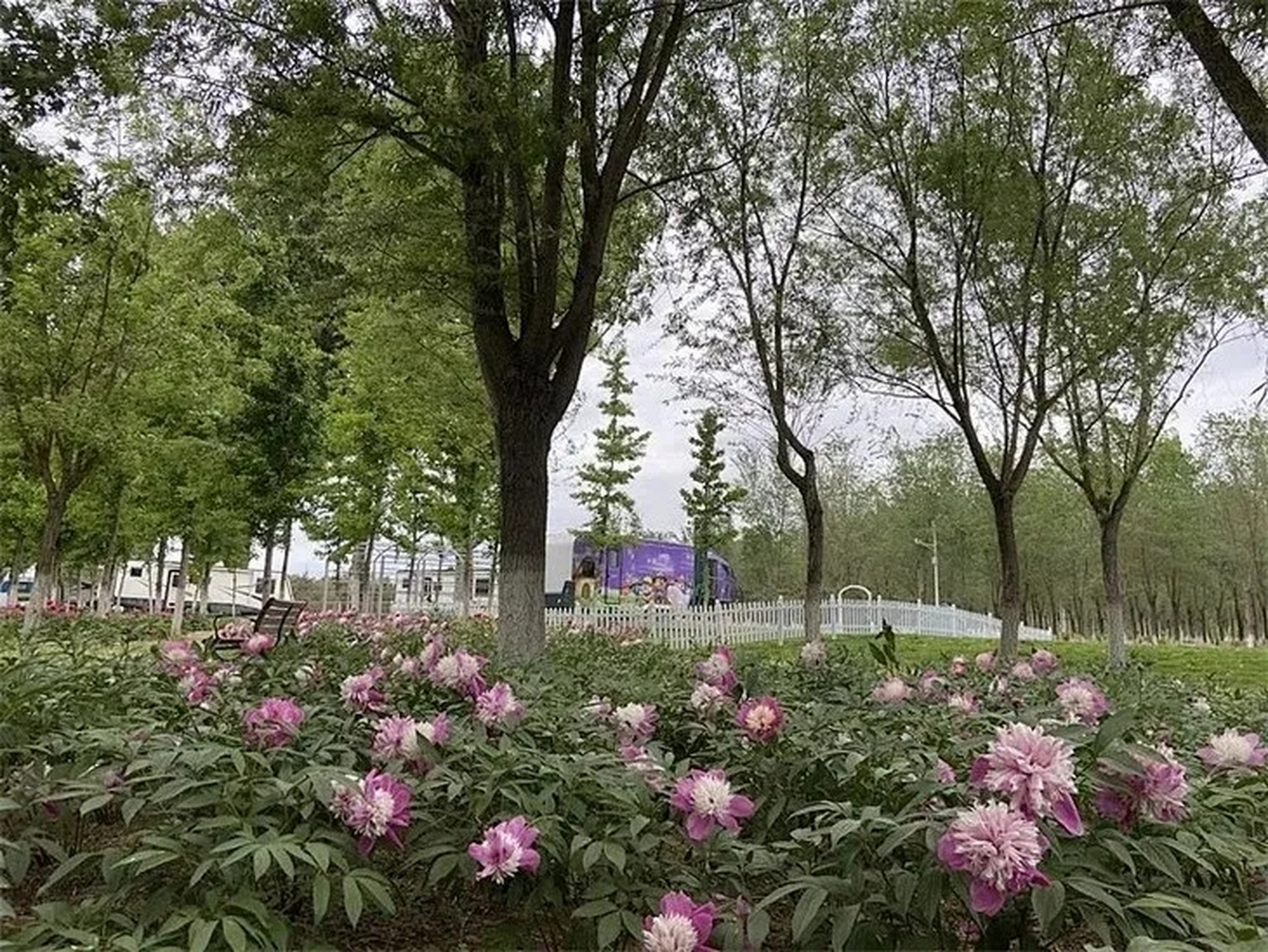 北京市大兴区永定河绿色港湾 #旅拍vlog# 一年四季美如画!